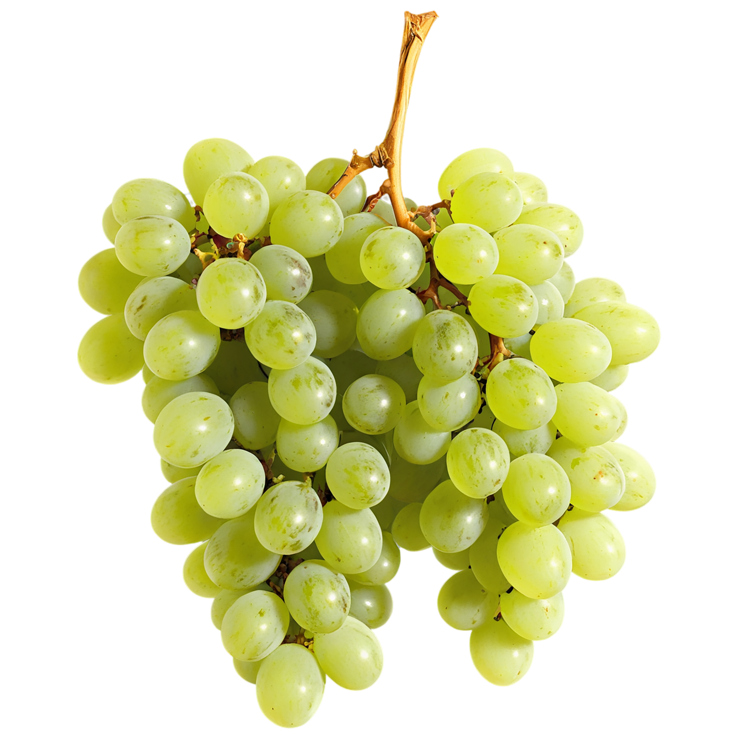 Grapes fruit isolated on transparent background #729
