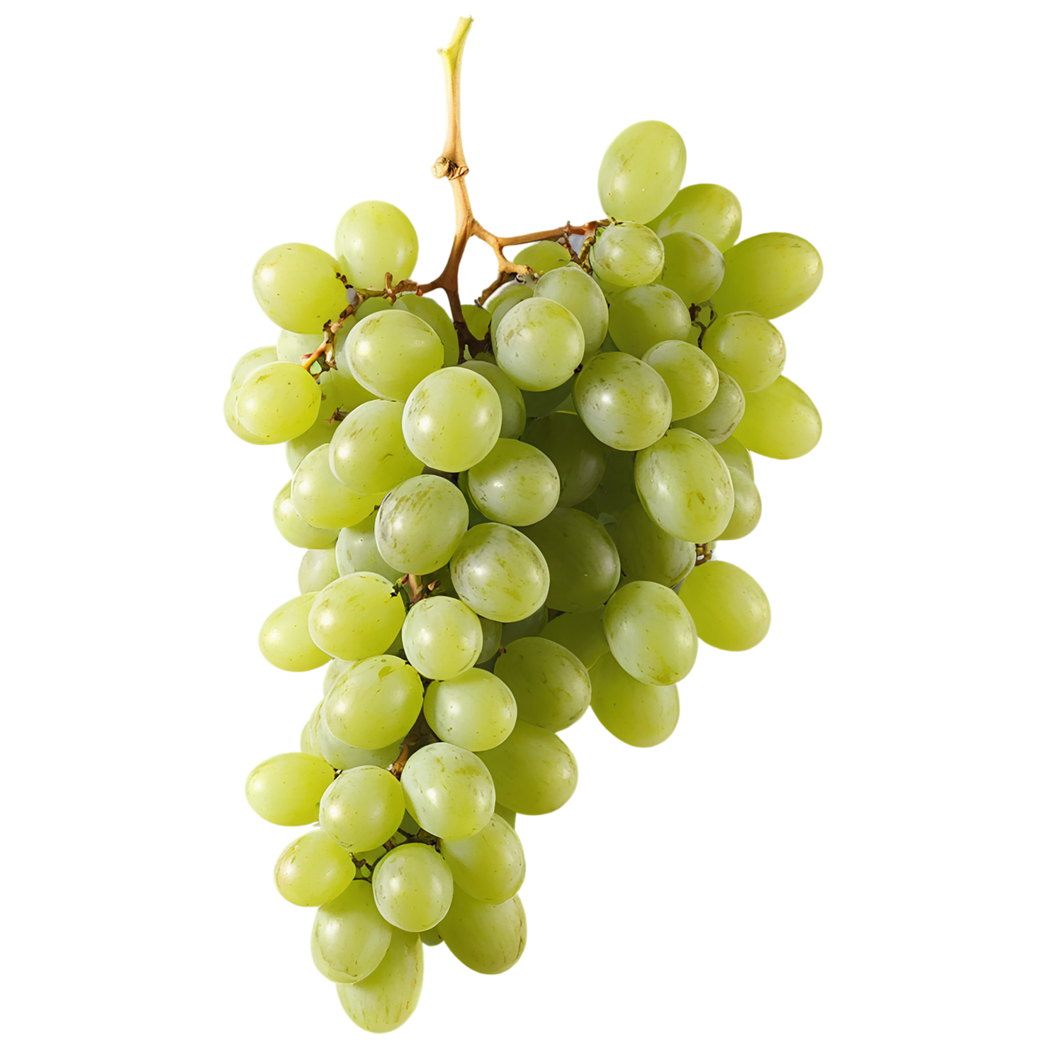Grapes fruit isolated on transparent background #730