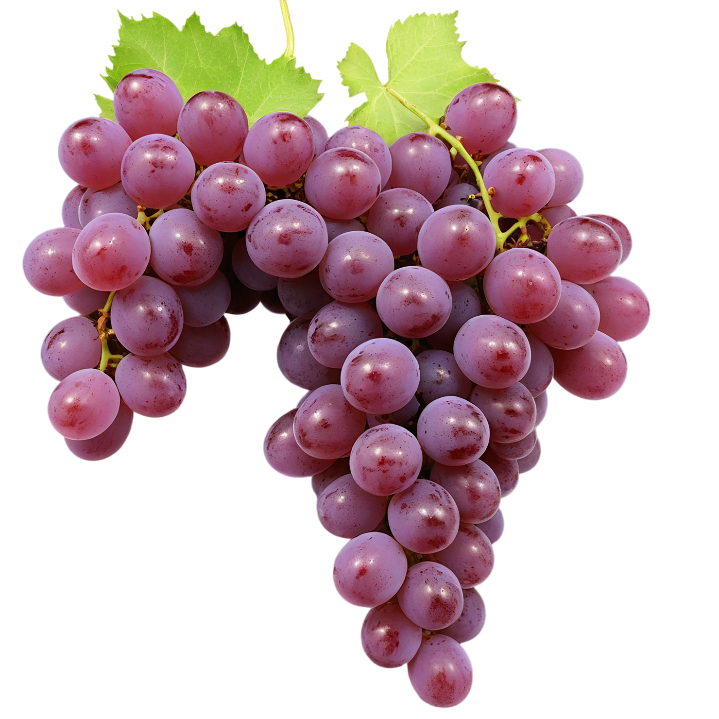 Grapes fruit isolated on transparent background #735