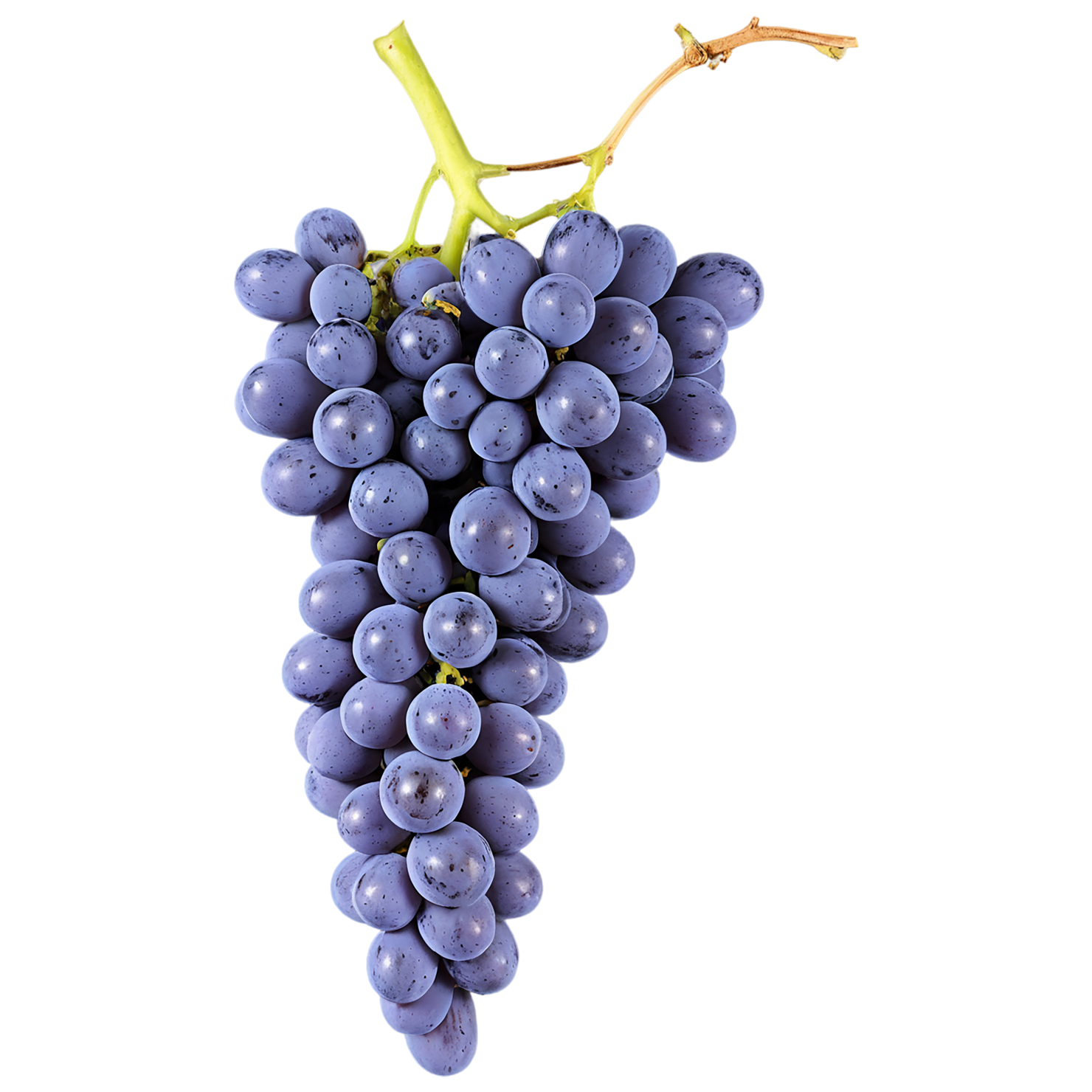 Grapes fruit isolated on transparent background #736