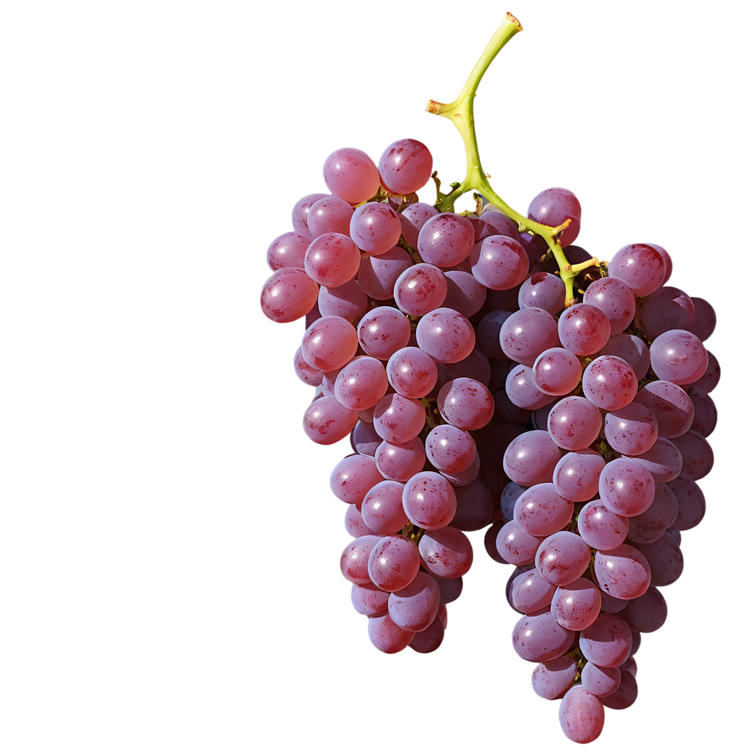 Grapes fruit isolated on transparent background #739