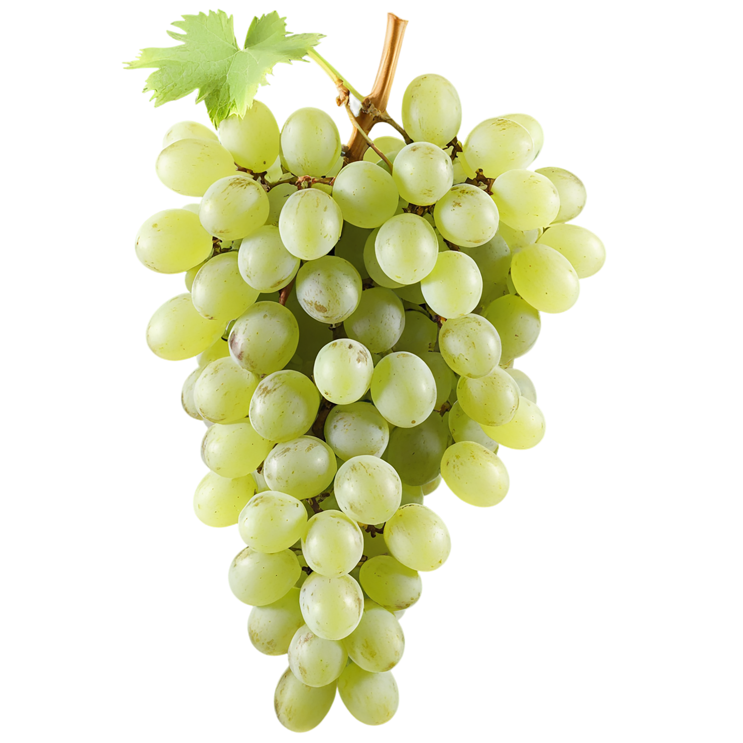Grapes fruit isolated on transparent background #741