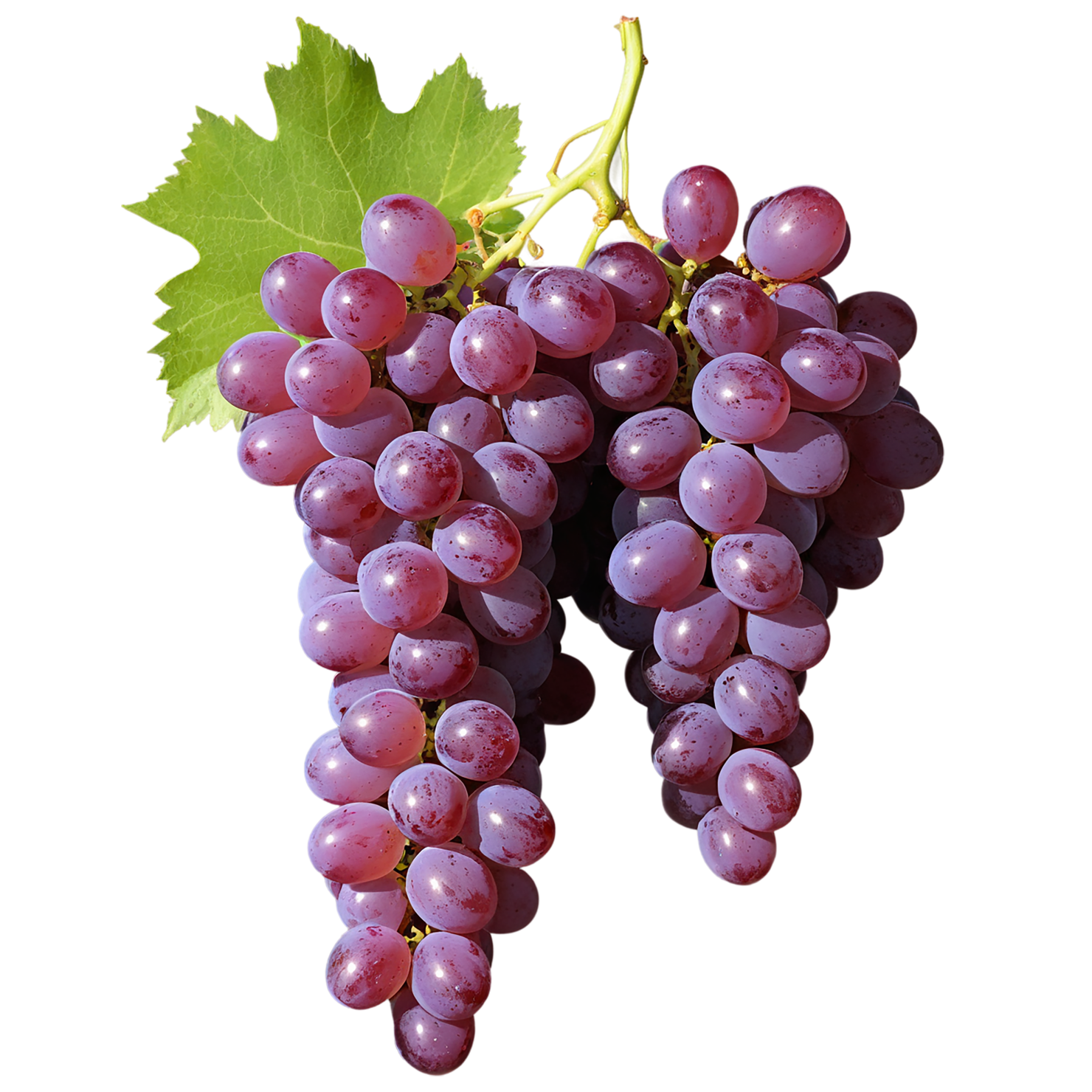 Grapes fruit isolated on transparent background #742