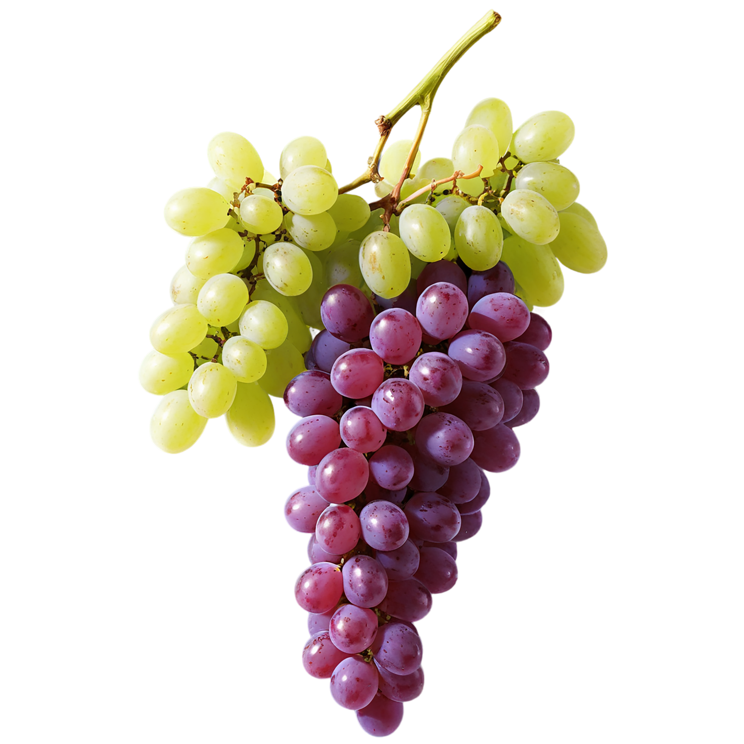 Grapes fruit isolated on transparent background #743