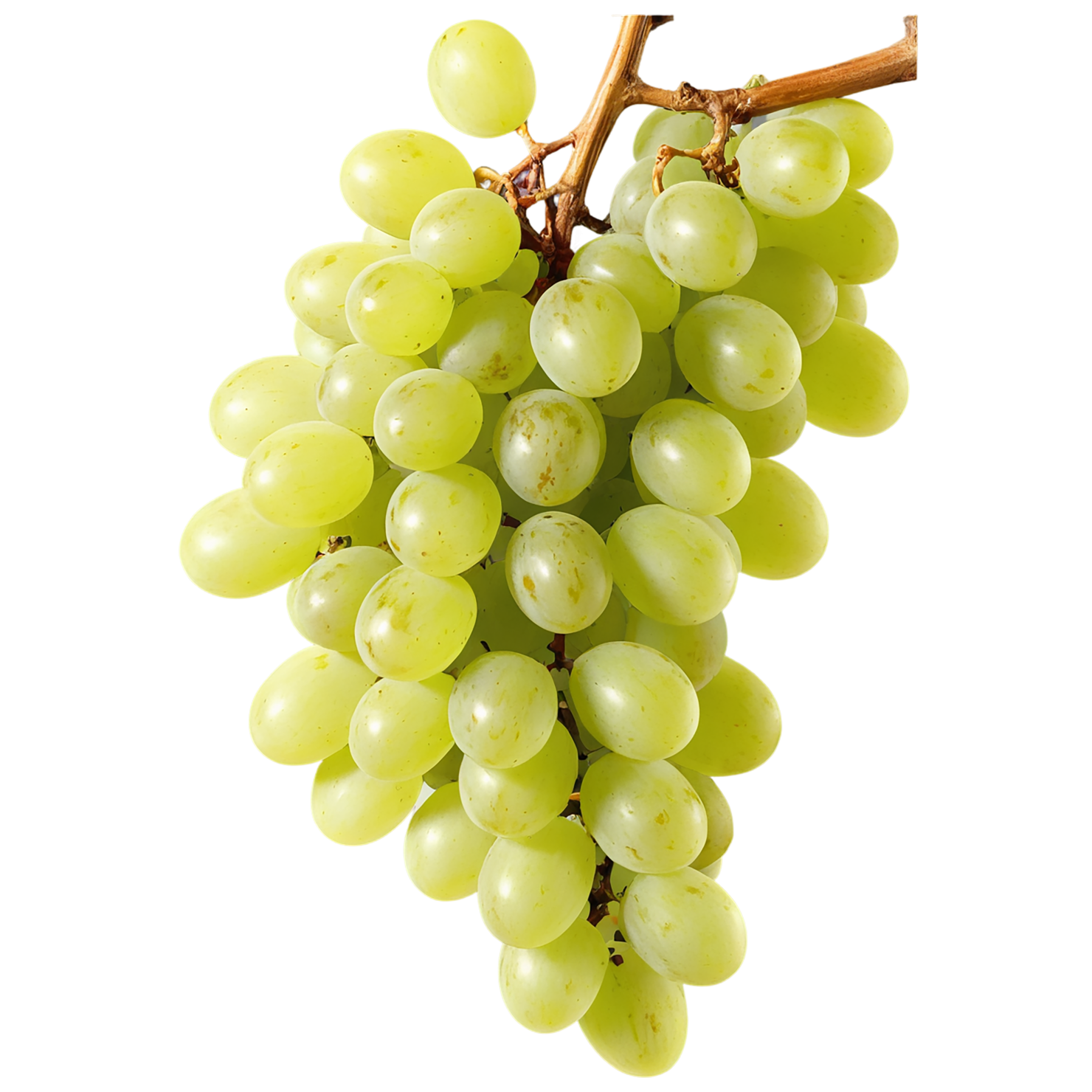 Grapes fruit isolated on transparent background #744