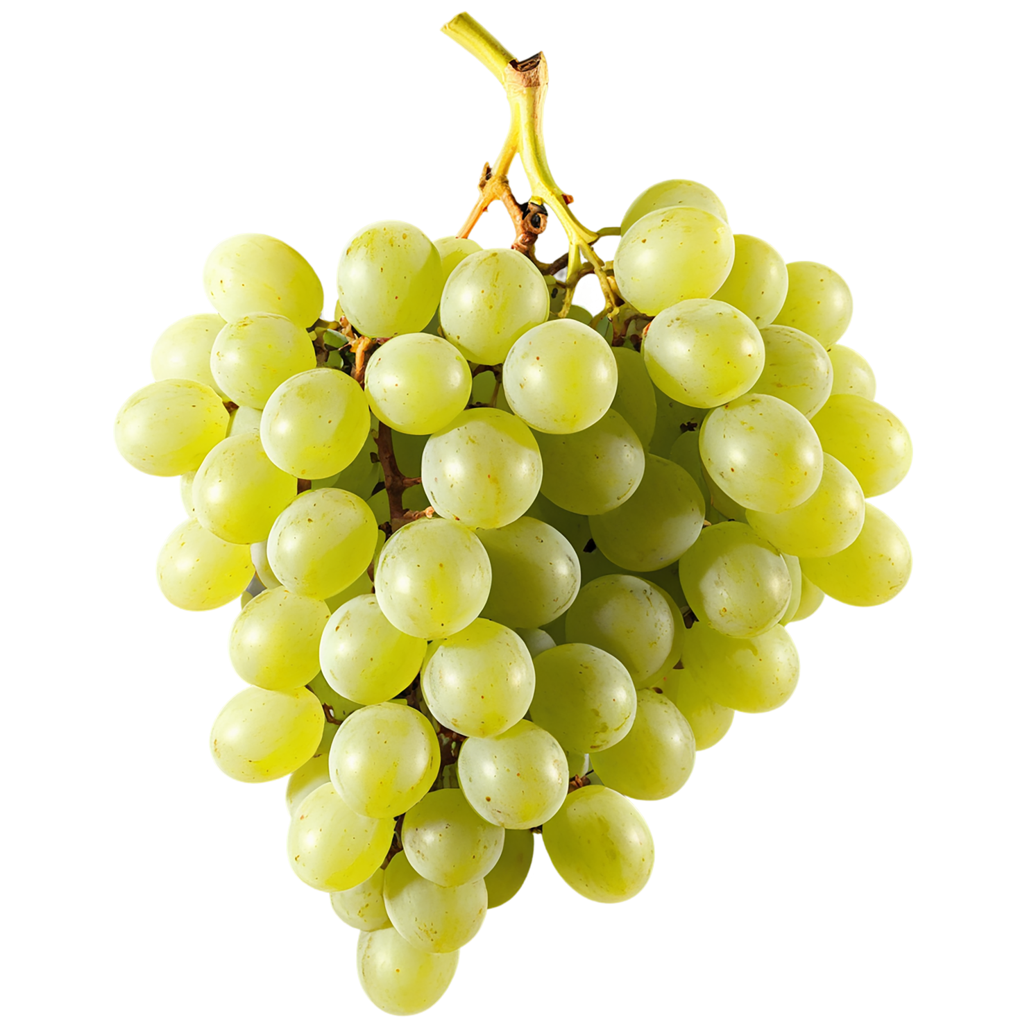 Grapes fruit isolated on transparent background #745