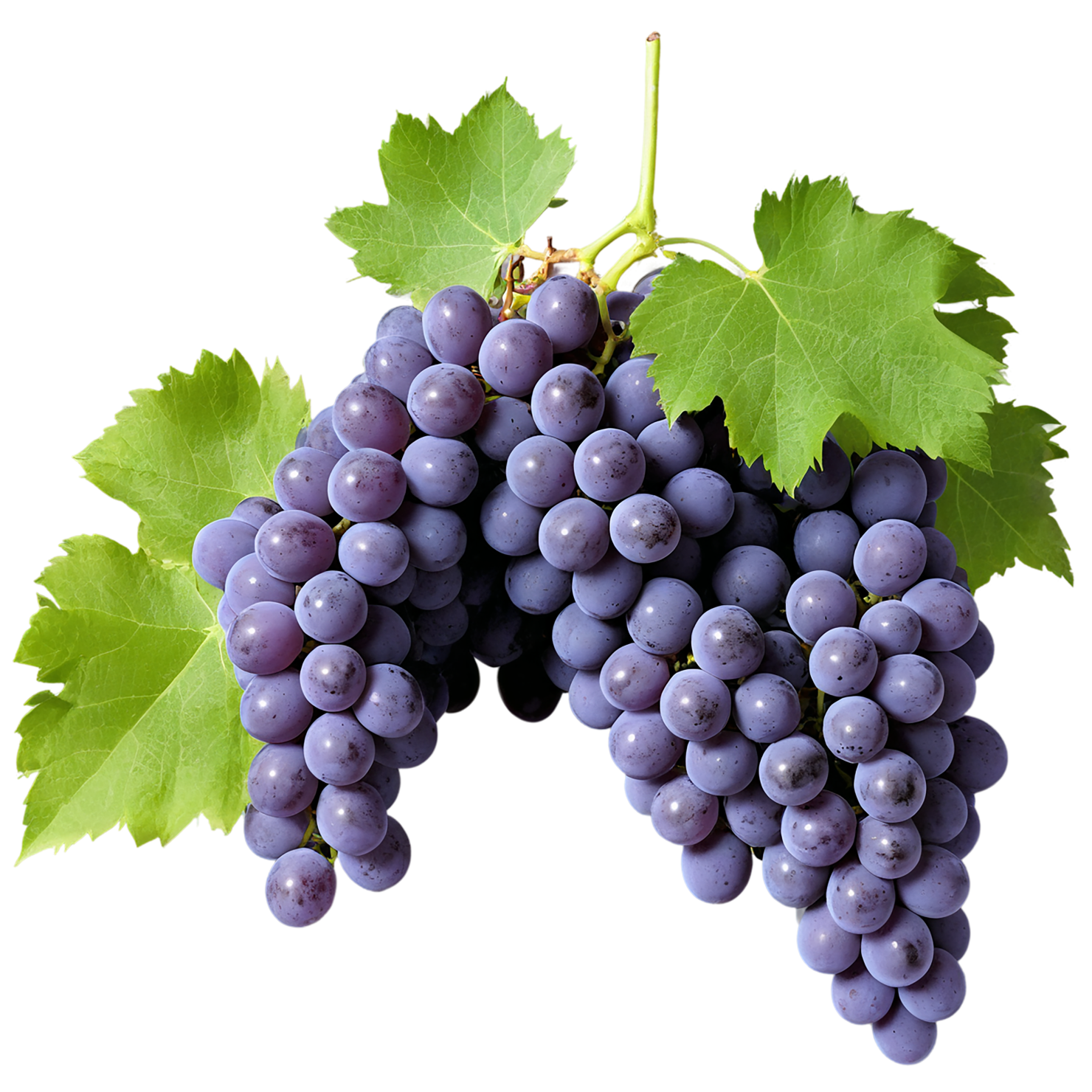 Grapes fruit isolated on transparent background #749