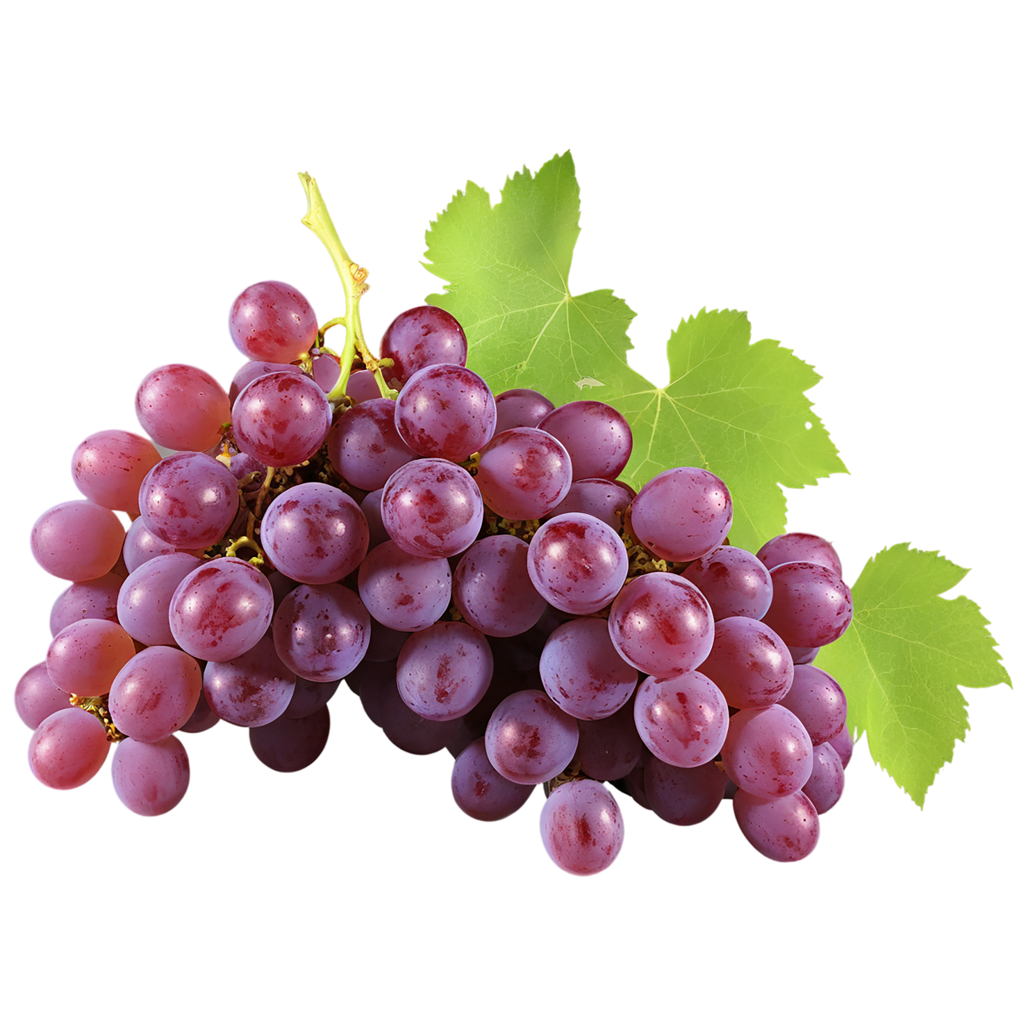 Grapes fruit isolated on transparent background #750