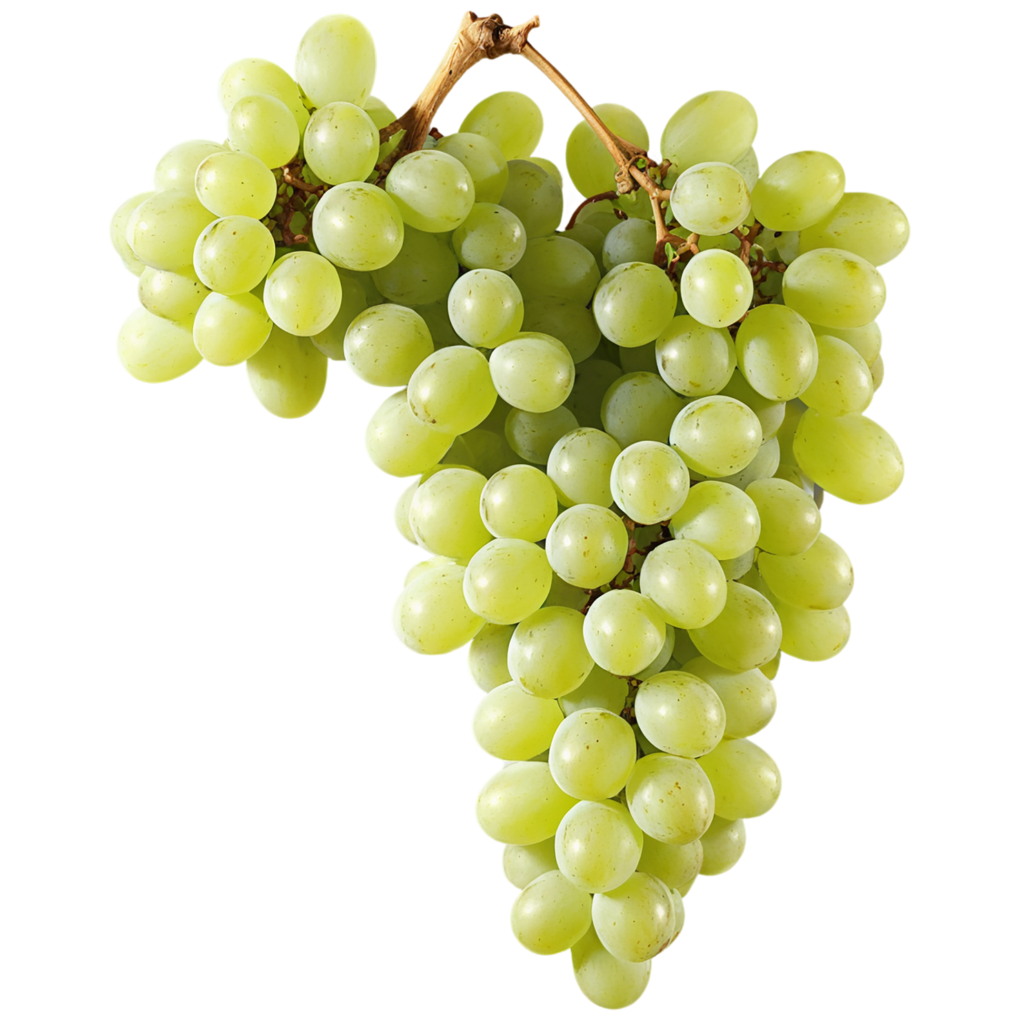 Grapes fruit isolated on transparent background #751