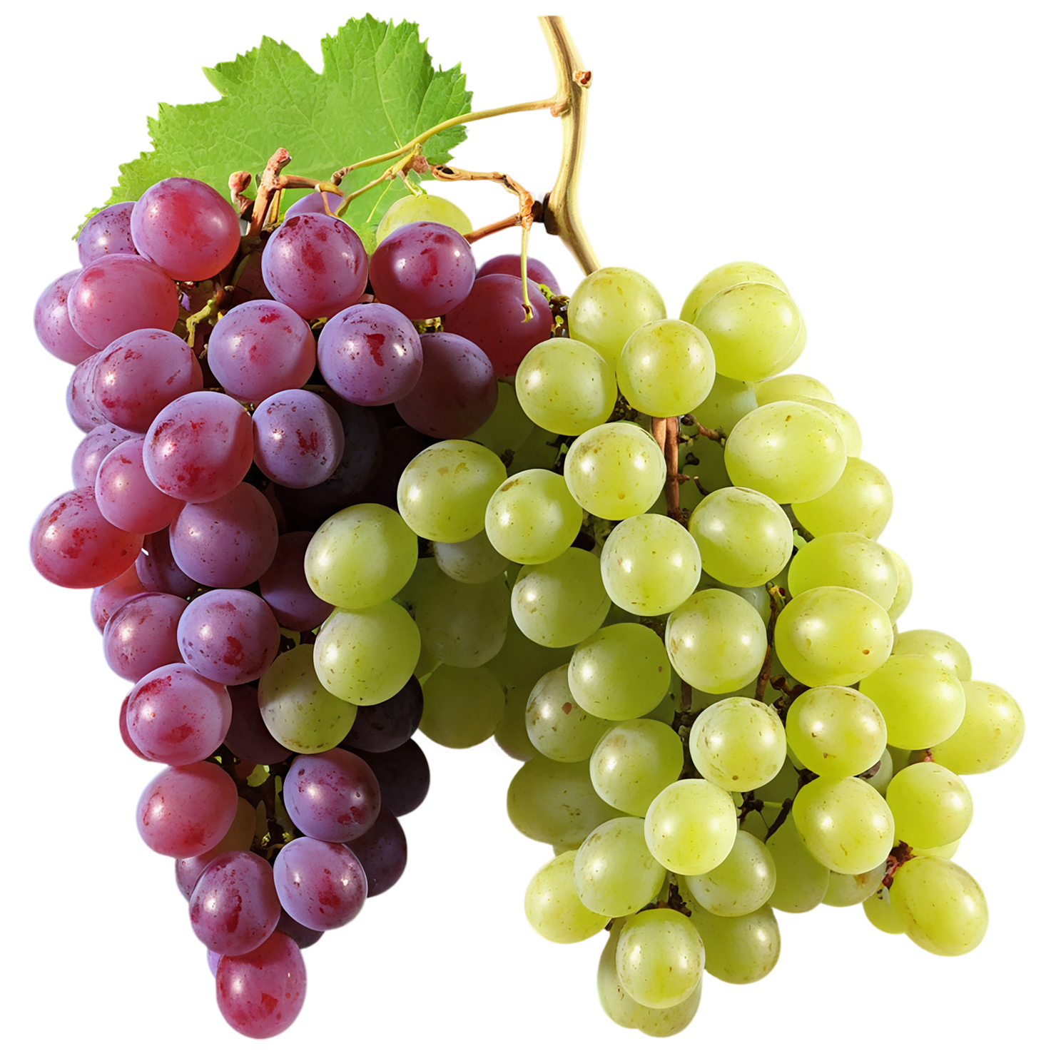 Grapes fruit isolated on transparent background #753