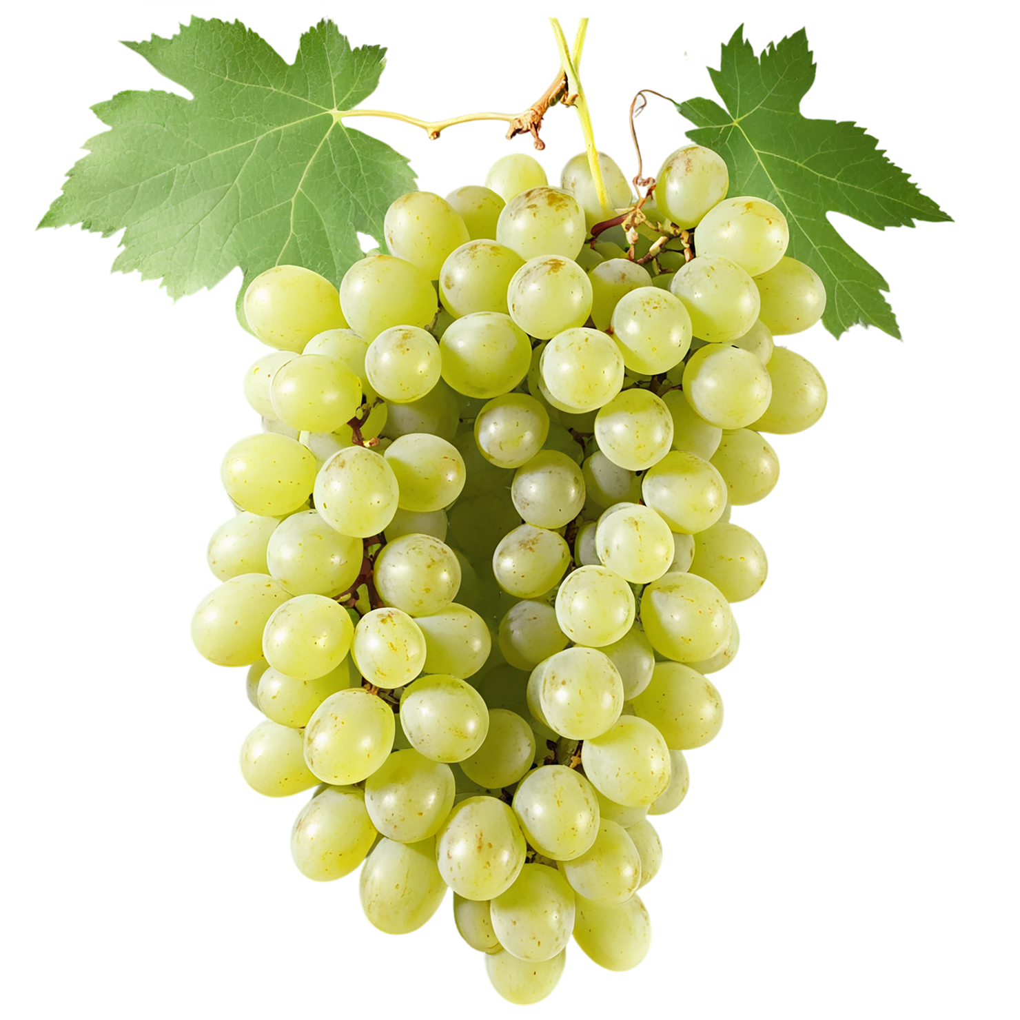 Grapes fruit isolated on transparent background #757