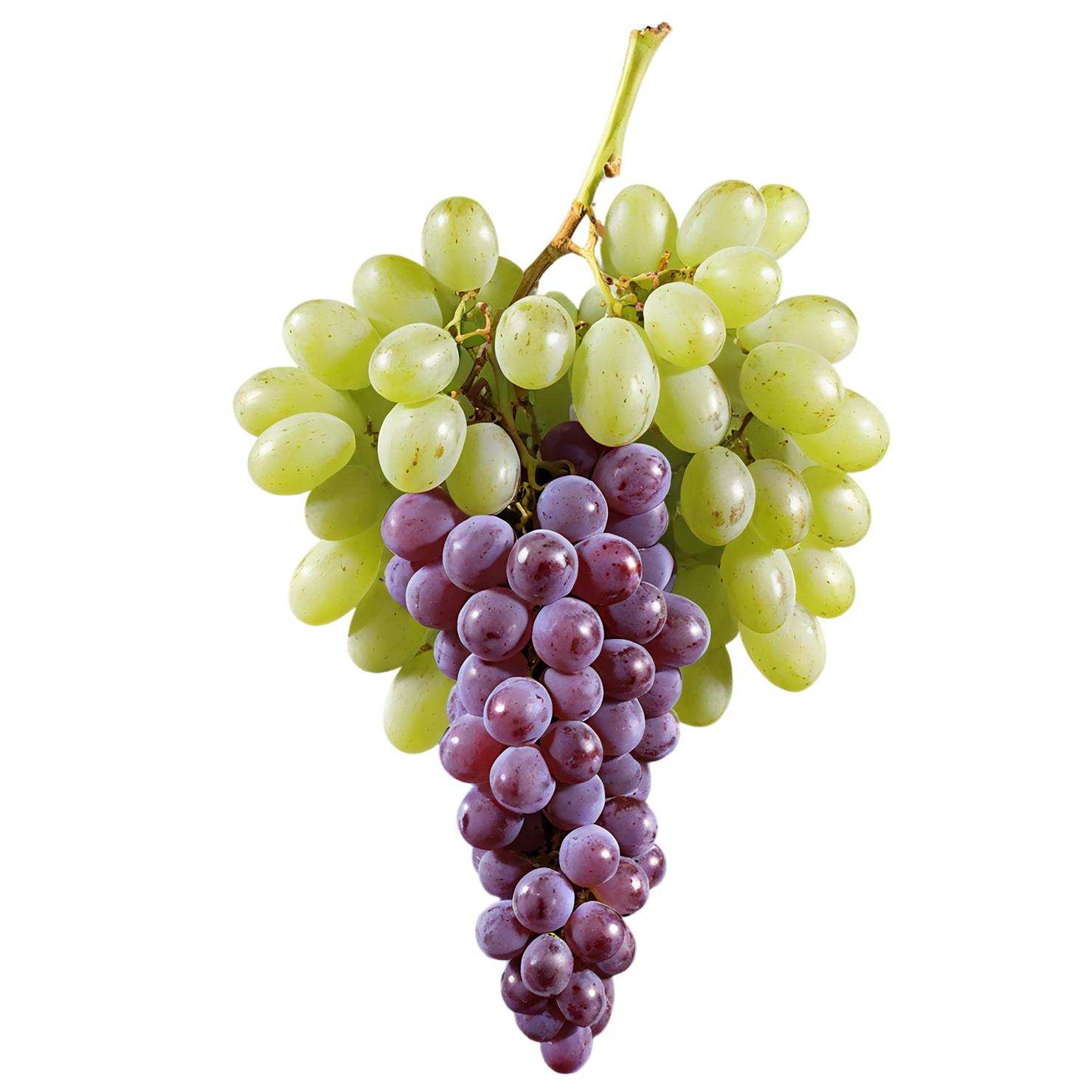 Grapes fruit isolated on transparent background #762
