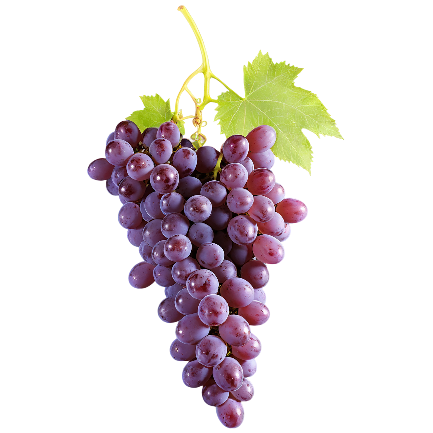 Grapes fruit isolated on transparent background #767