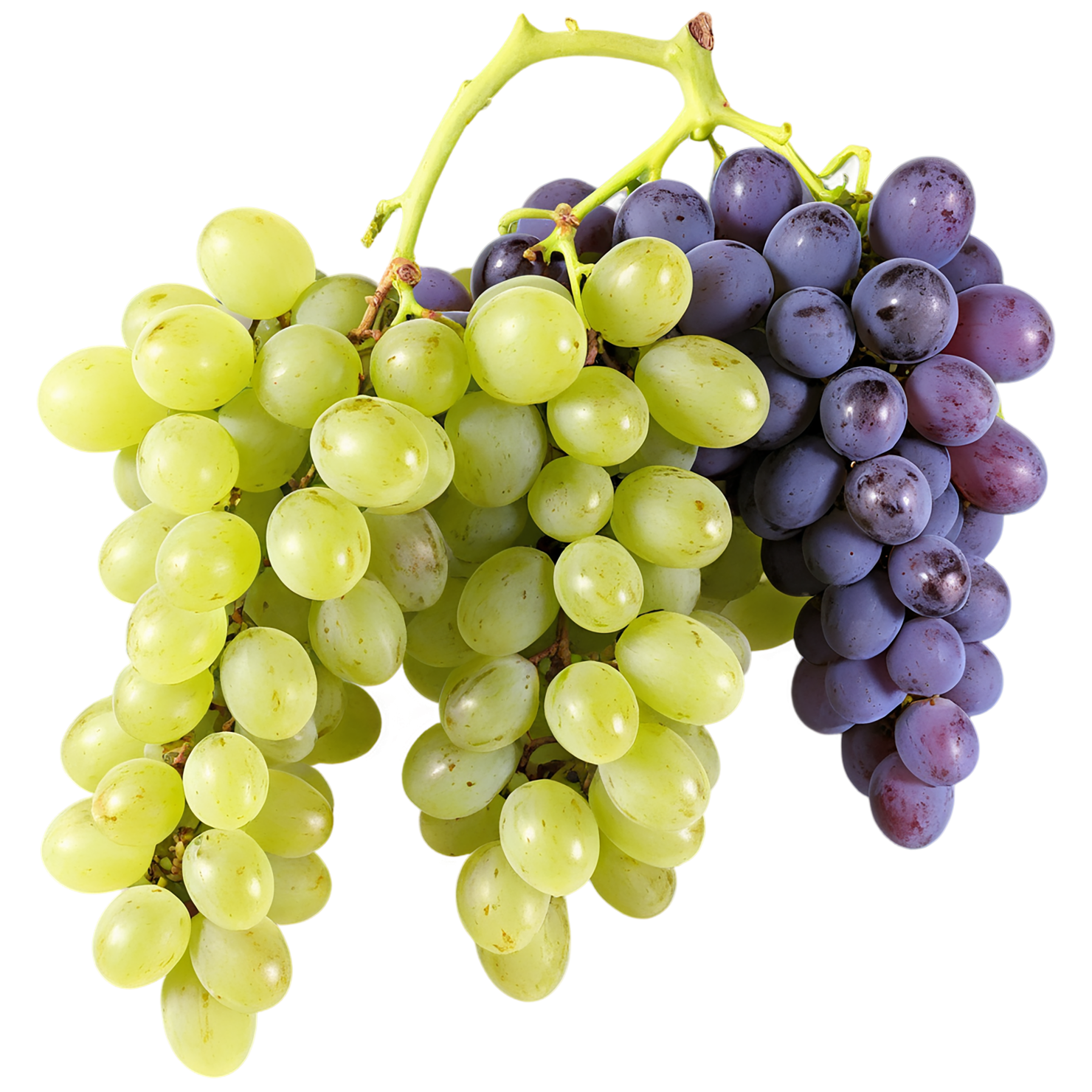 Grapes fruit isolated on transparent background #768