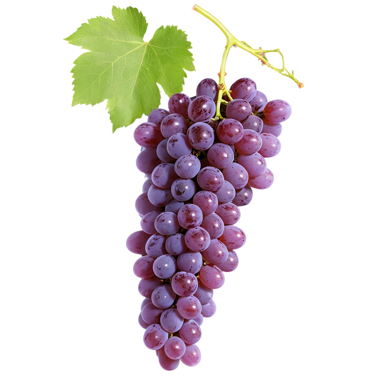 Grapes fruit isolated on transparent background #770