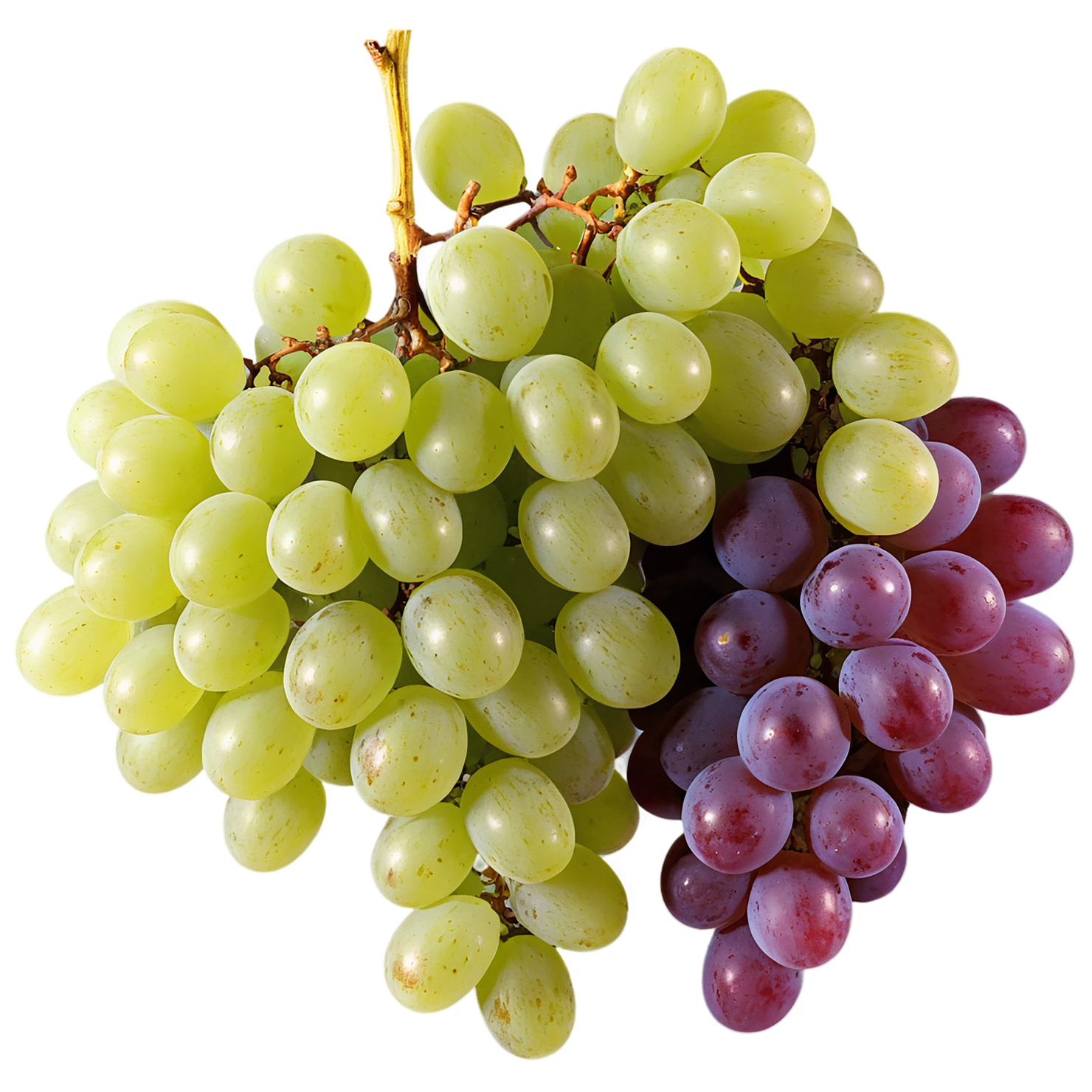 Grapes fruit isolated on transparent background #773