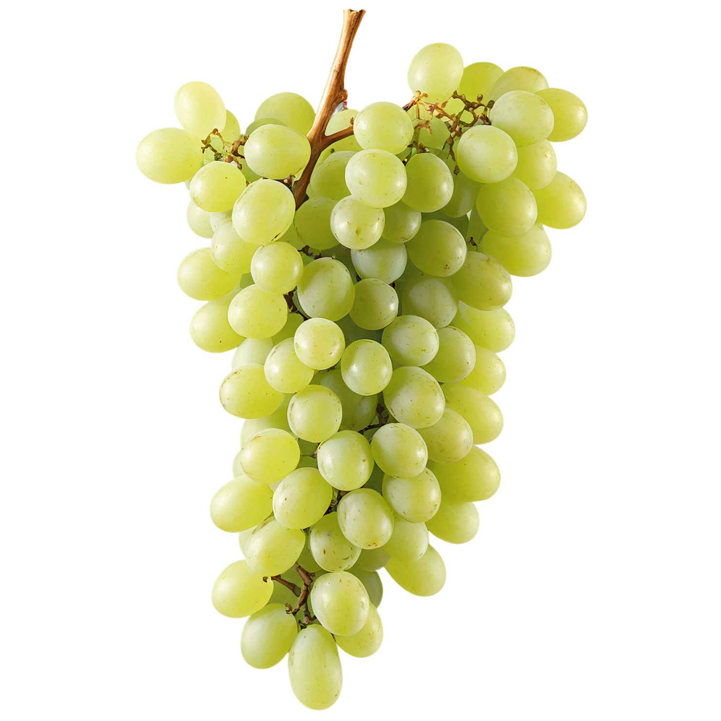 Grapes fruit isolated on transparent background #774