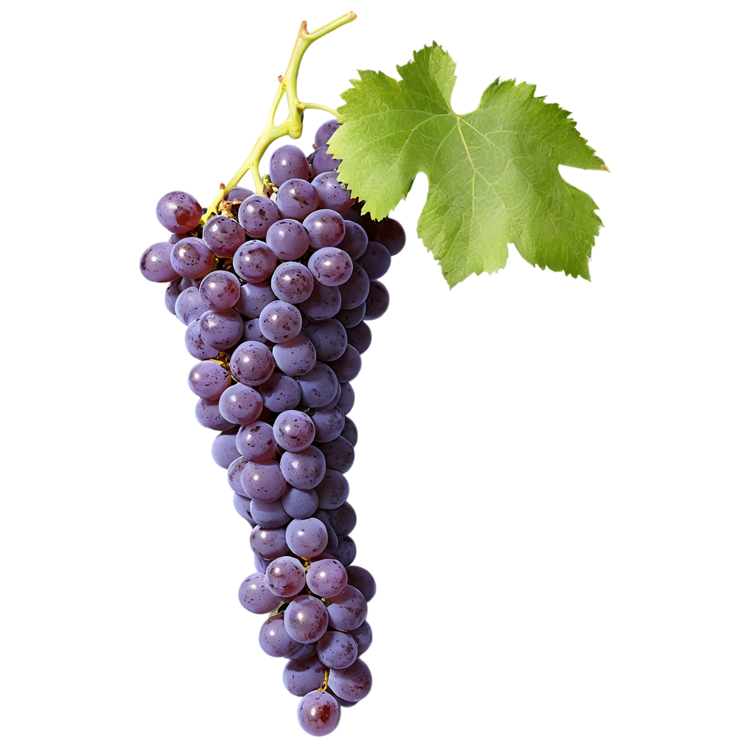 Grapes fruit isolated on transparent background #775