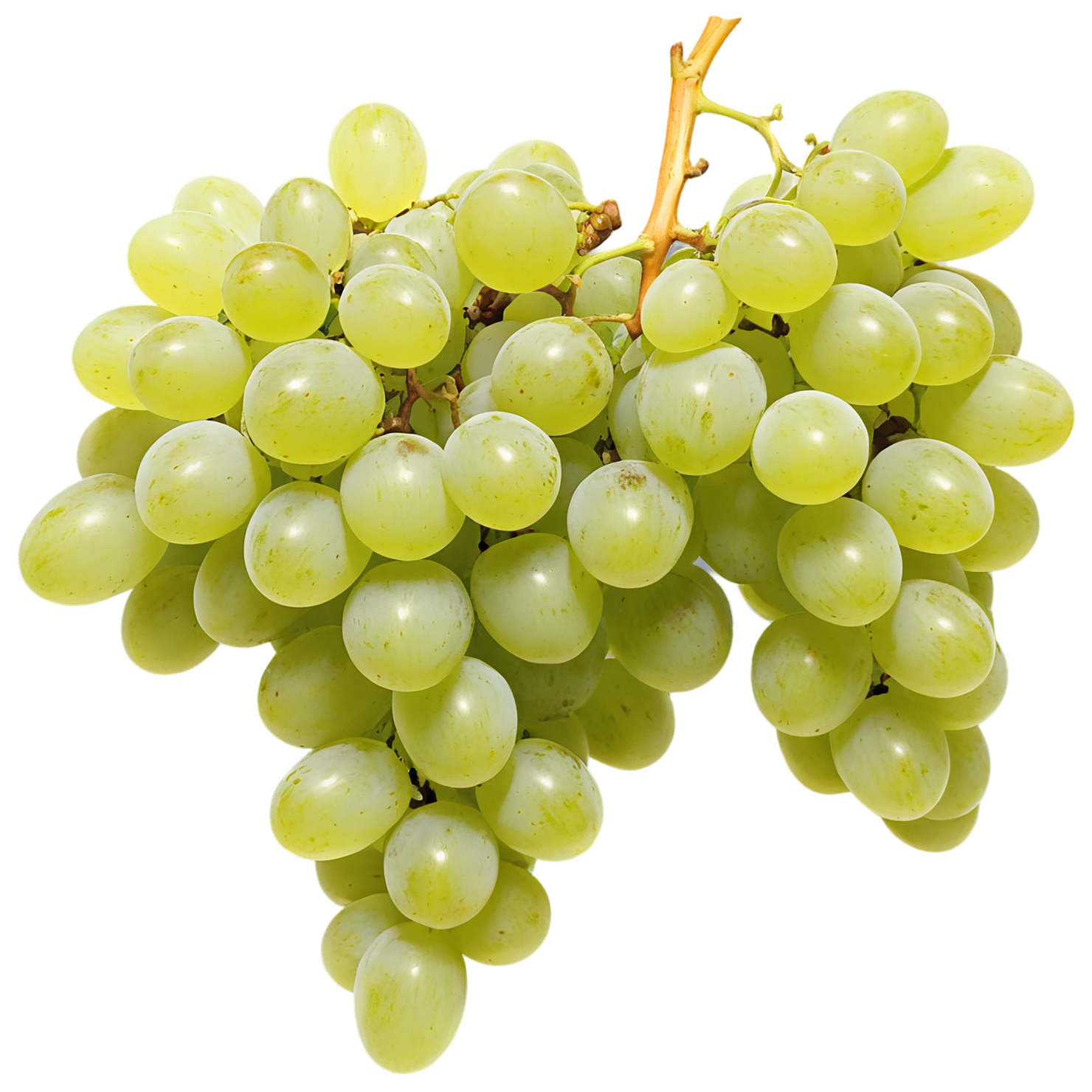 Grapes fruit isolated on transparent background #777