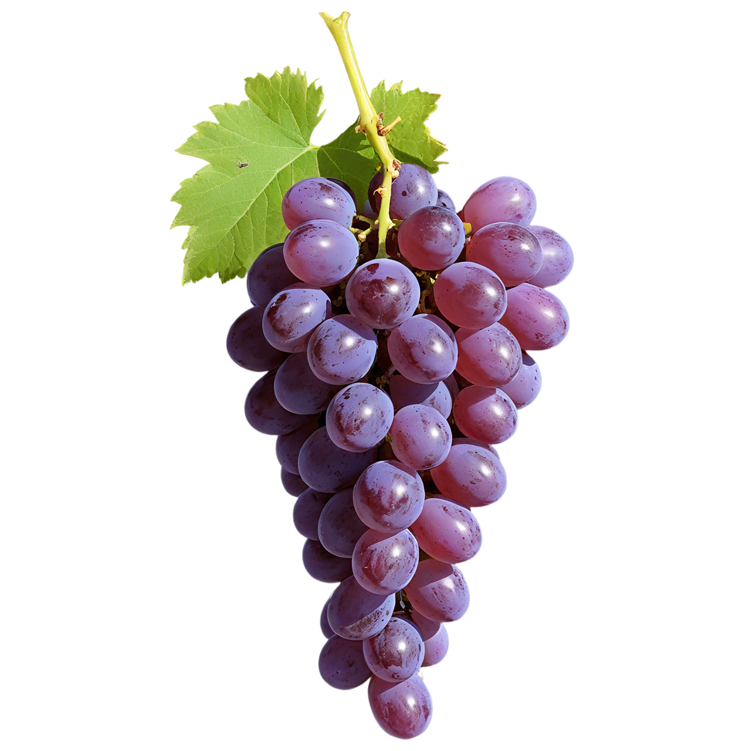 Grapes fruit isolated on transparent background #778