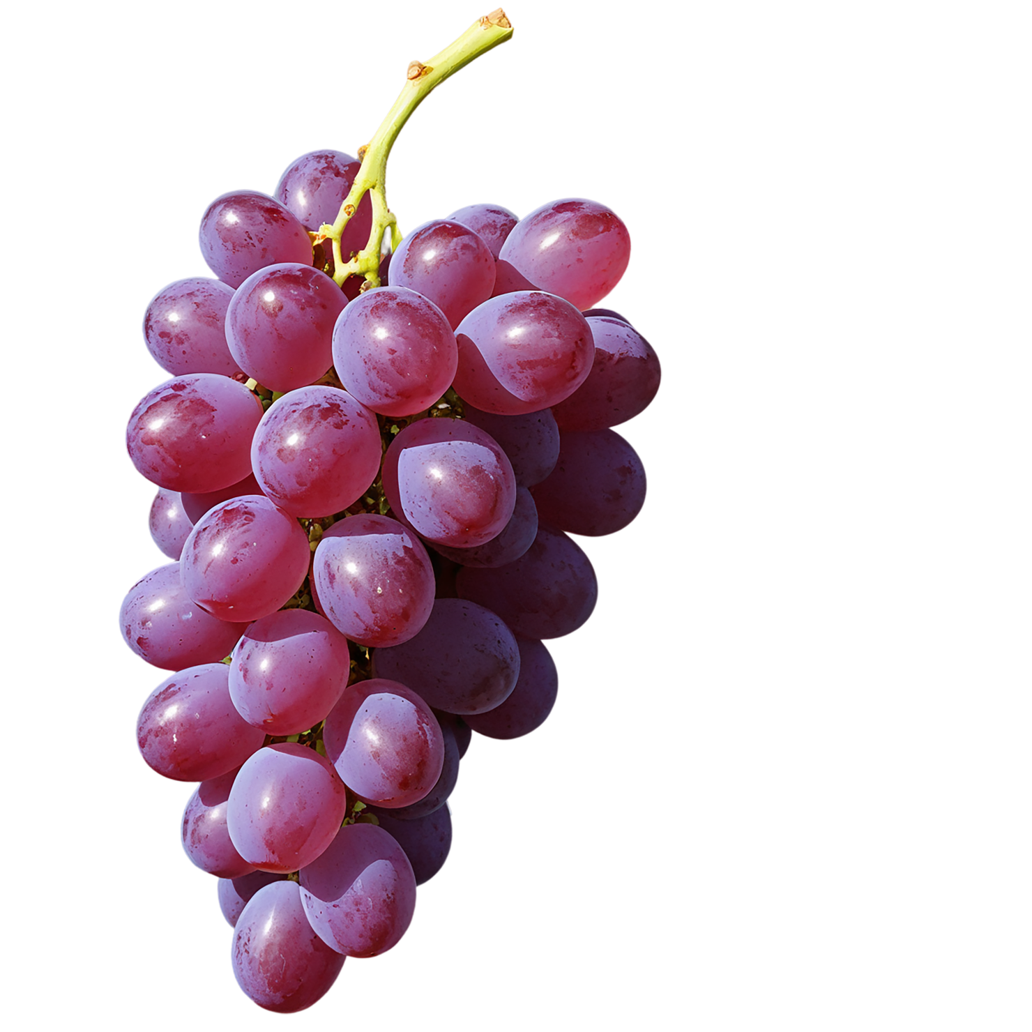 Grapes fruit isolated on transparent background #780