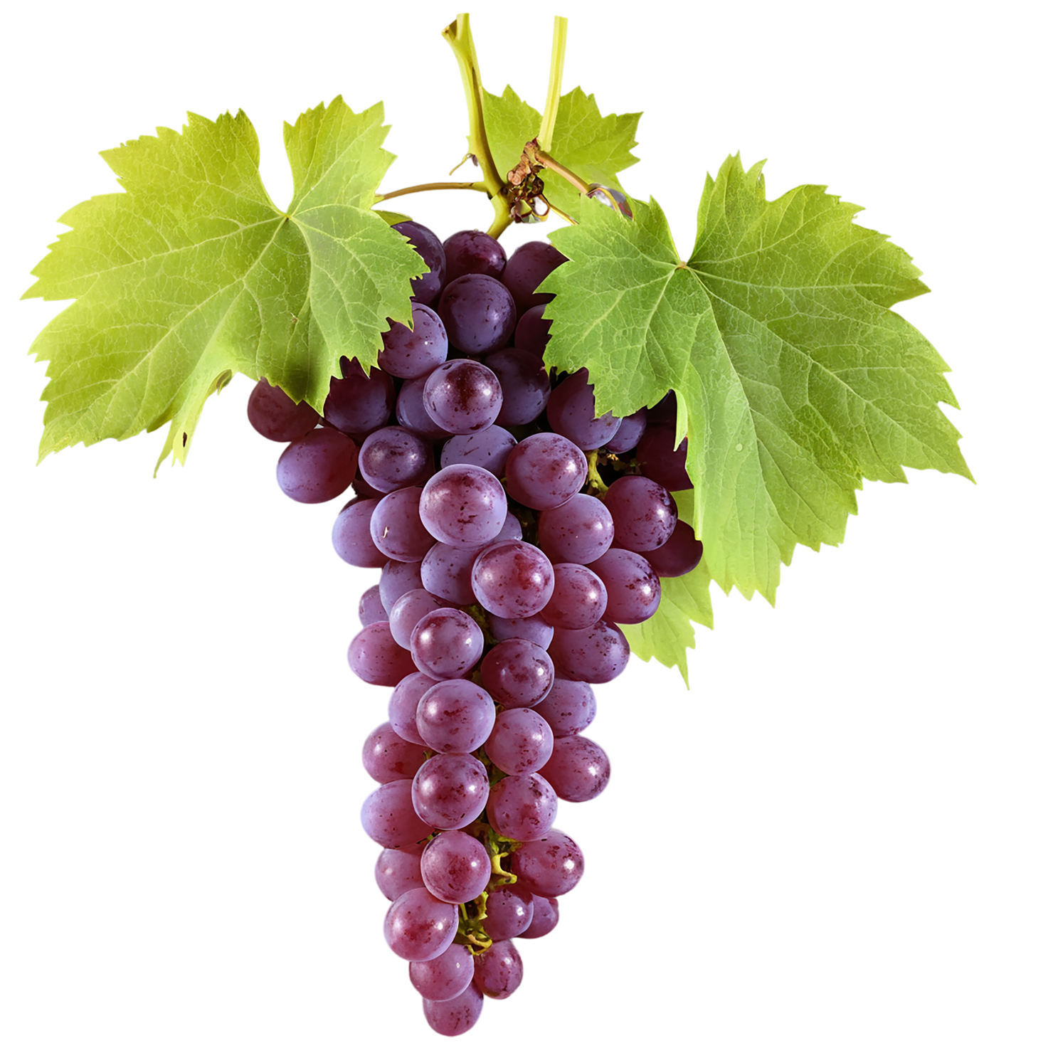 Grapes fruit isolated on transparent background #782