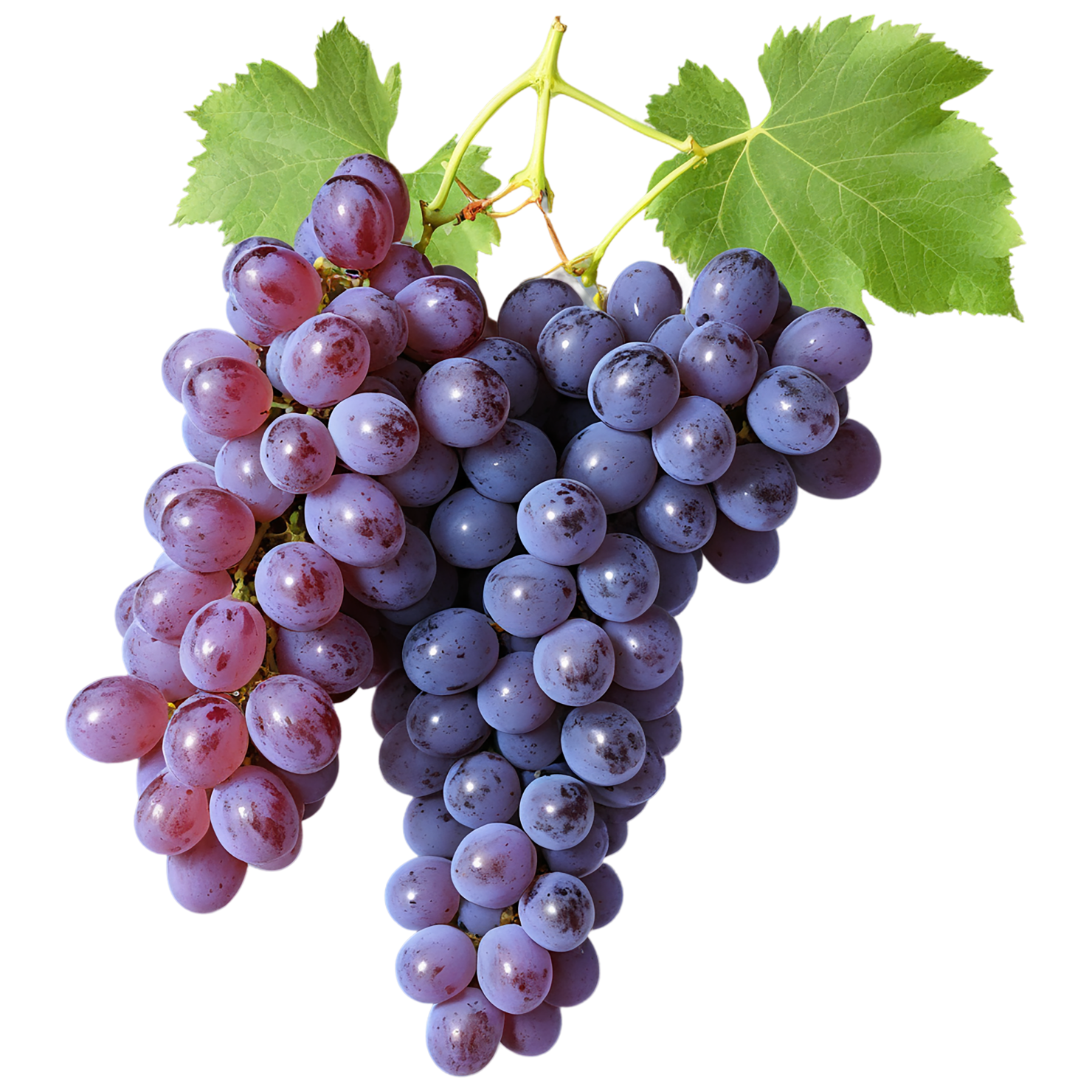 Grapes fruit isolated on transparent background #783