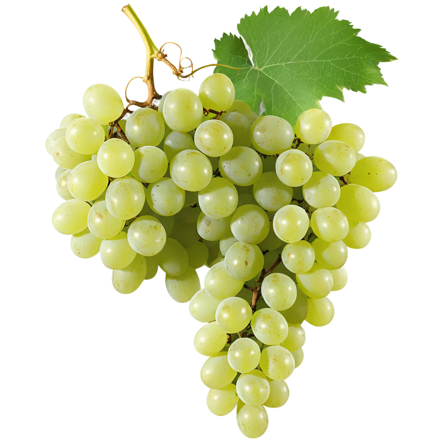 Grapes fruit isolated on transparent background #788