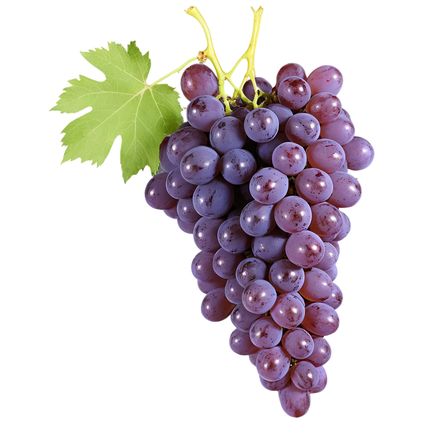 Grapes fruit isolated on transparent background #789