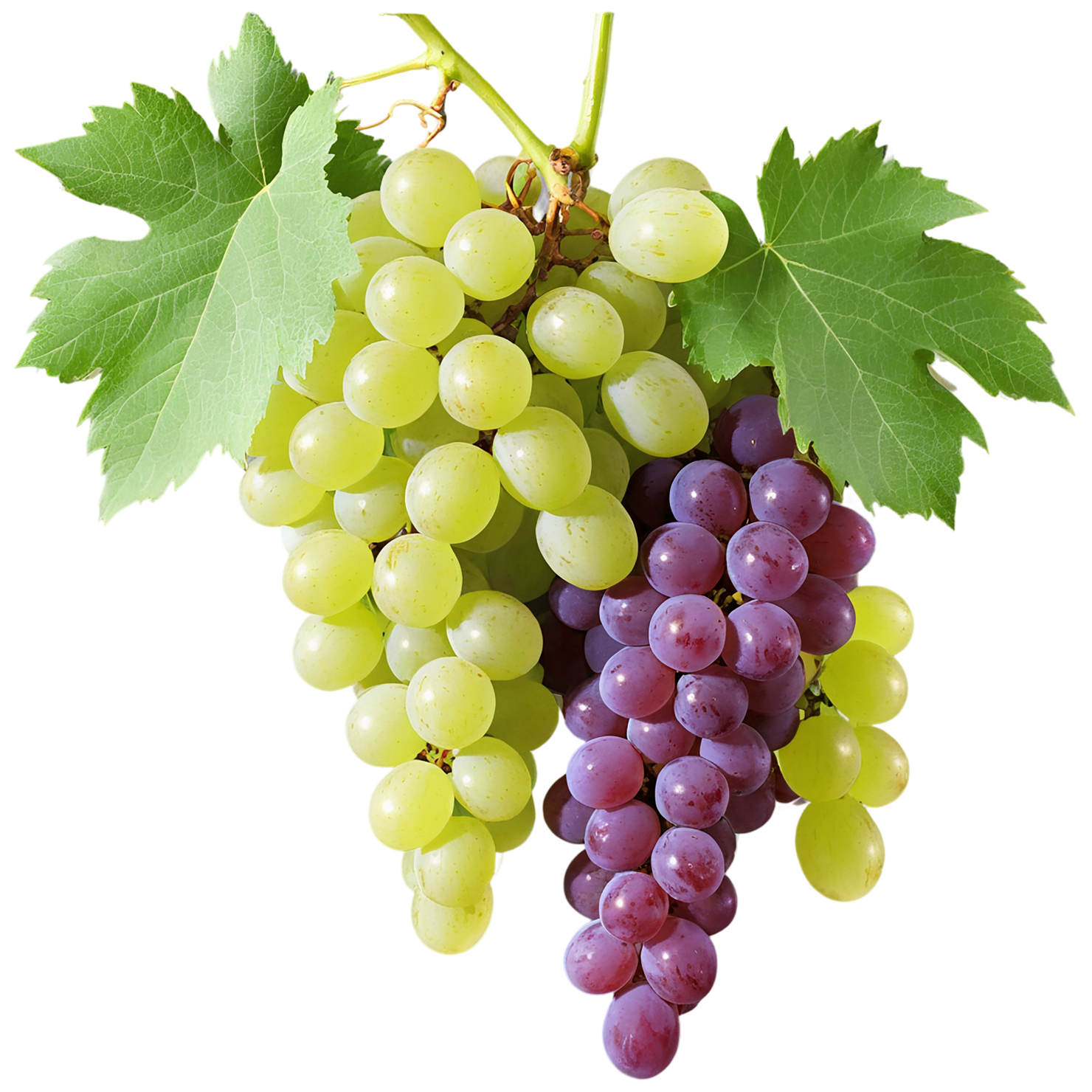 Grapes fruit isolated on transparent background #790