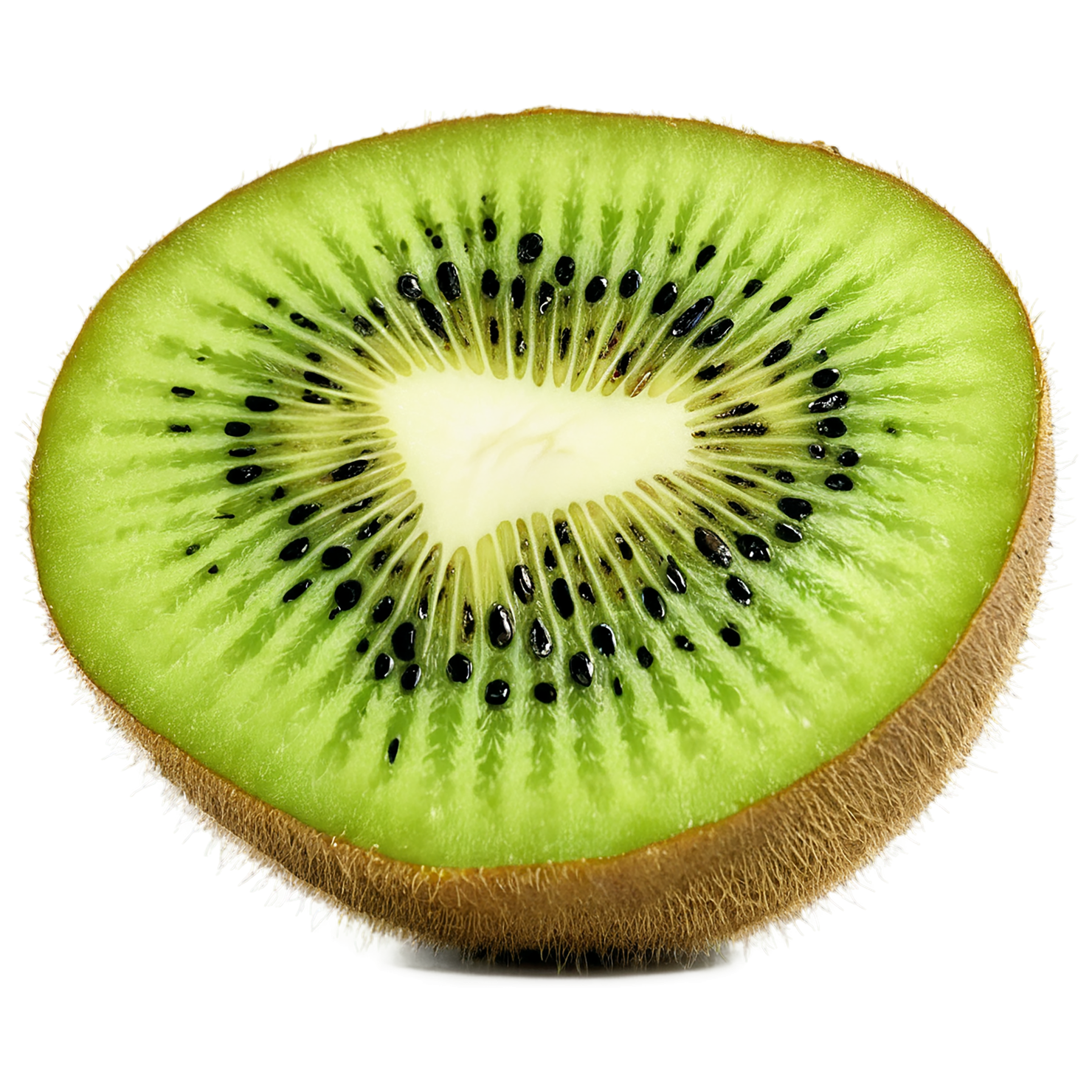 Kiwi fruit isolated on transparent background #792