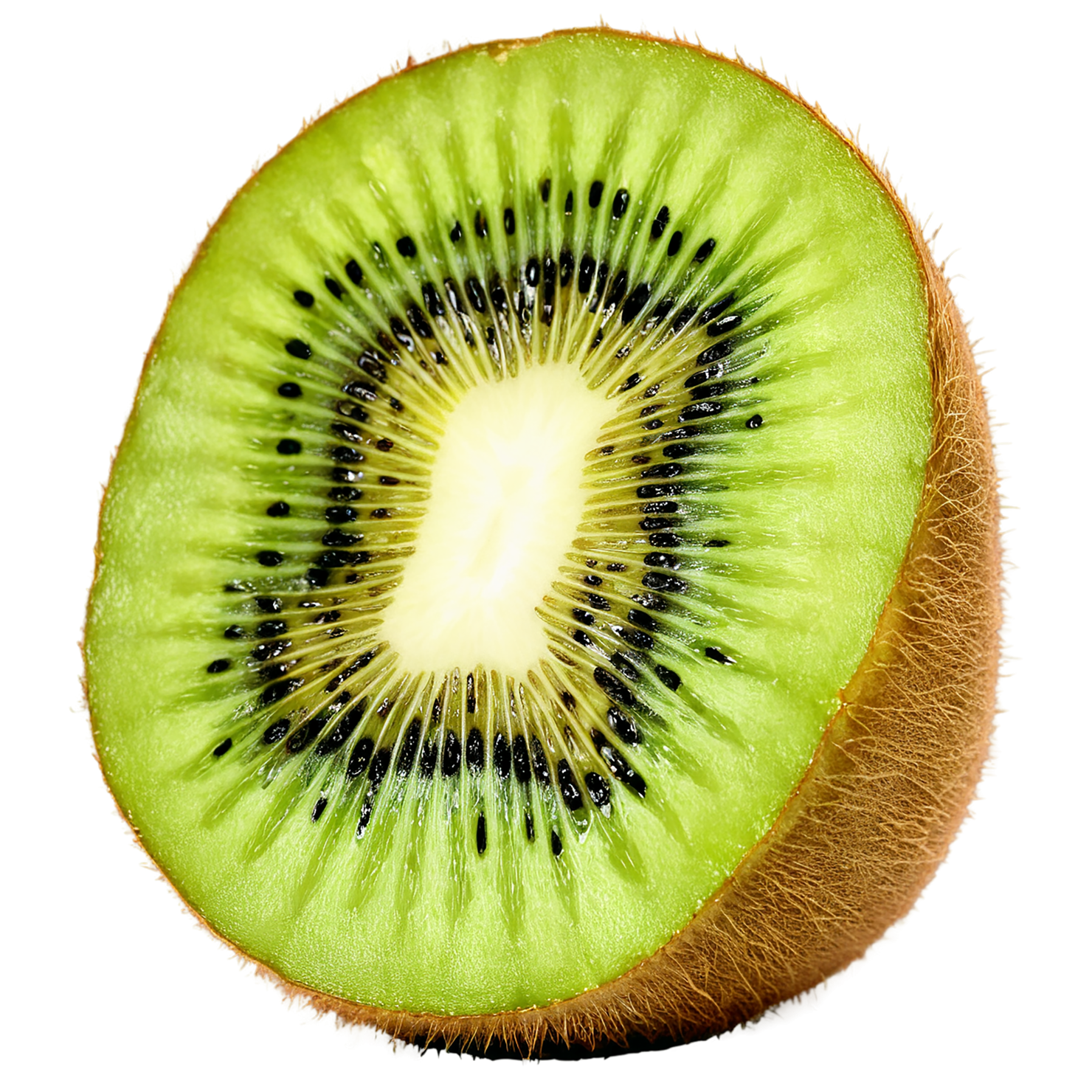 Kiwi fruit isolated on transparent background #795
