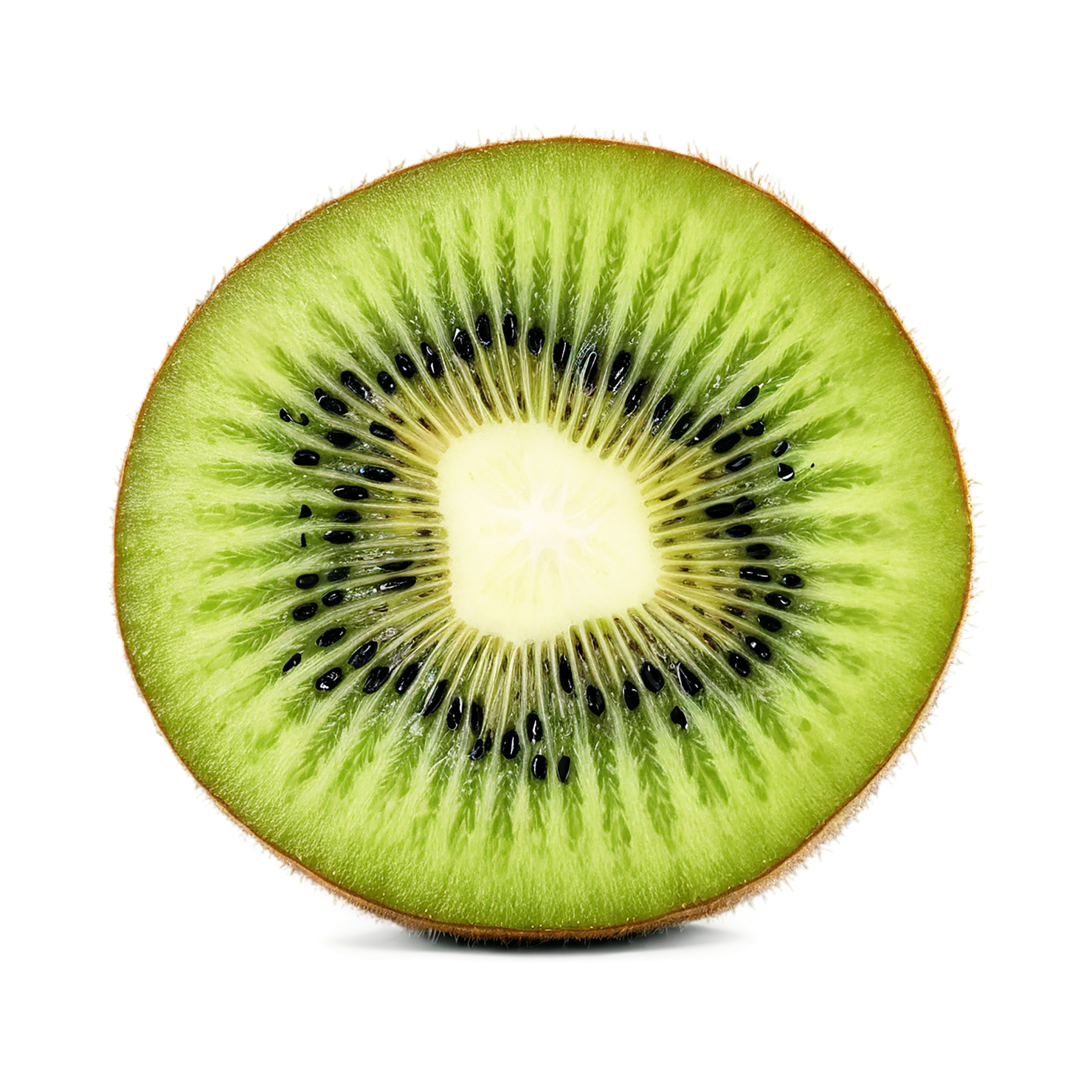 Kiwi fruit isolated on transparent background #797