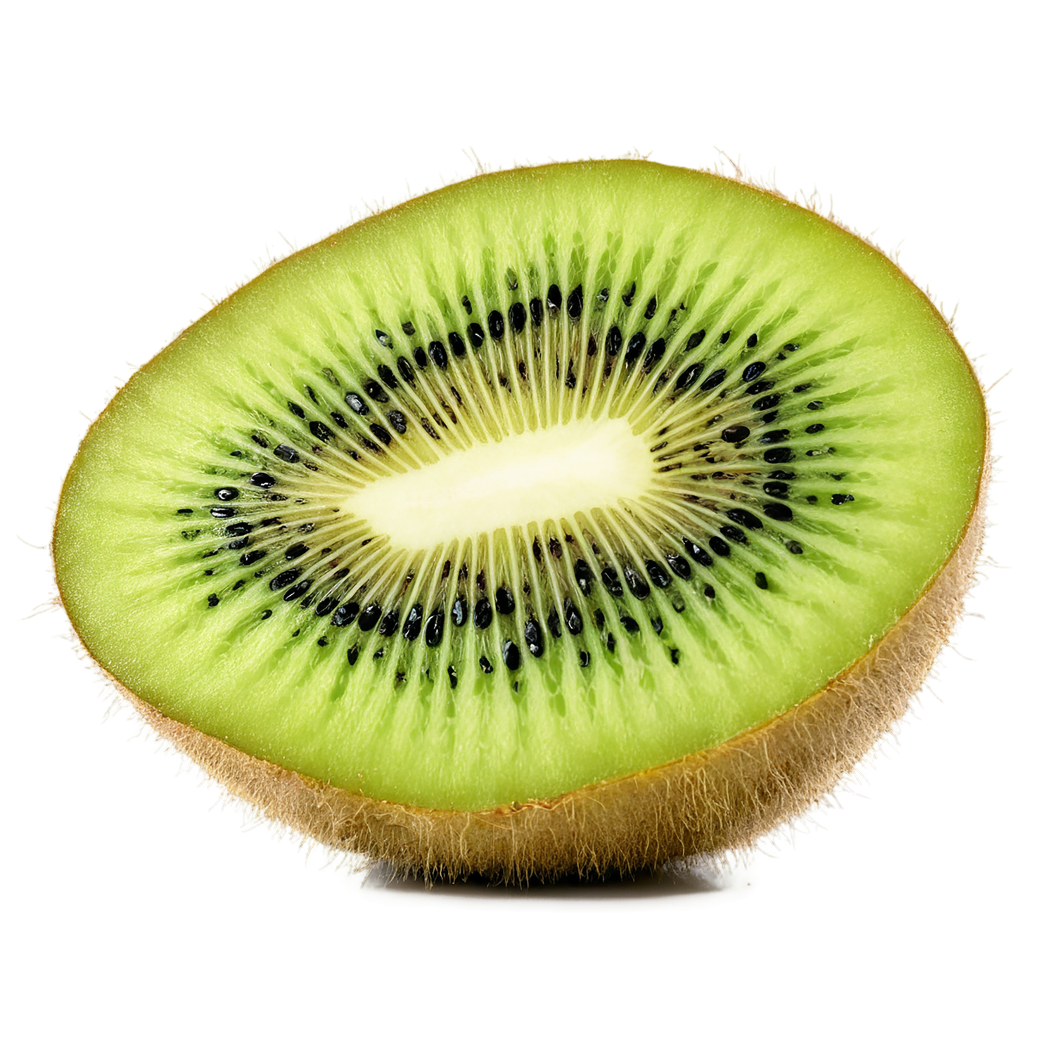 Kiwi fruit isolated on transparent background #800