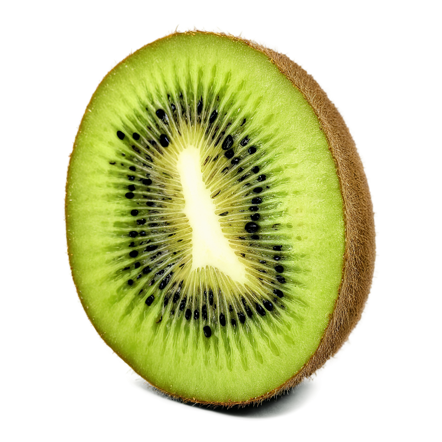 Kiwi fruit isolated on transparent background #816