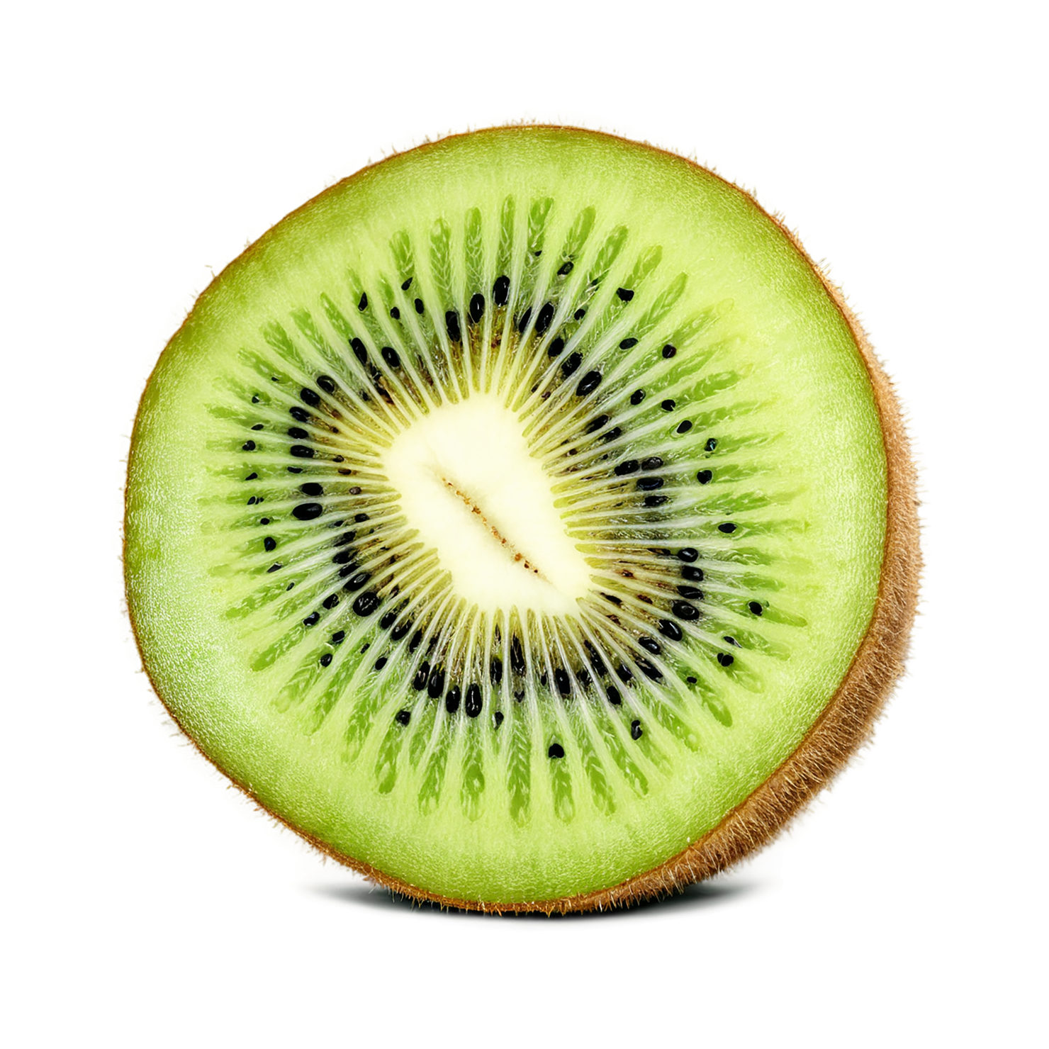 Kiwi fruit isolated on transparent background #823