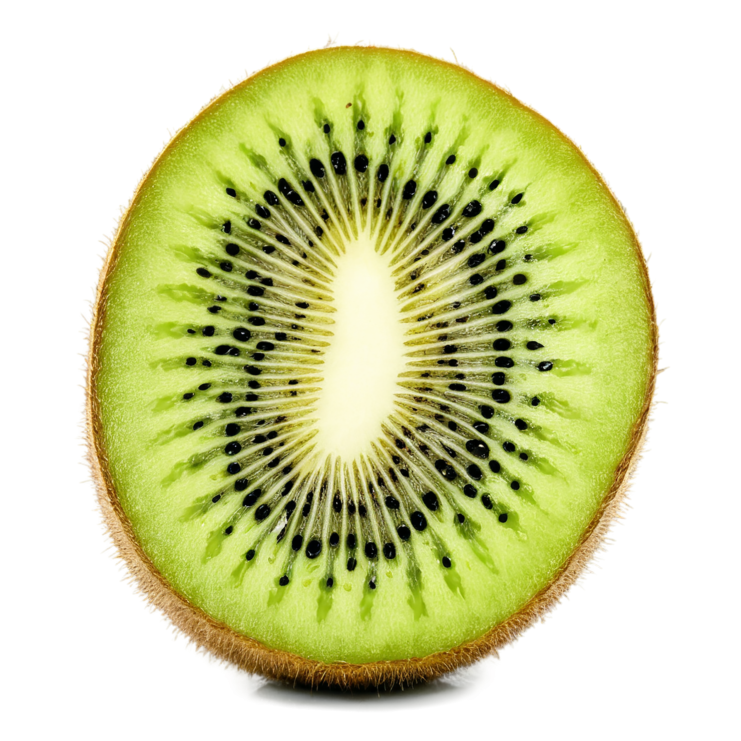 Kiwi fruit isolated on transparent background #832