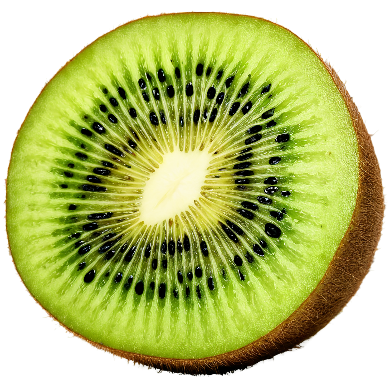 Kiwi fruit isolated on transparent background #840