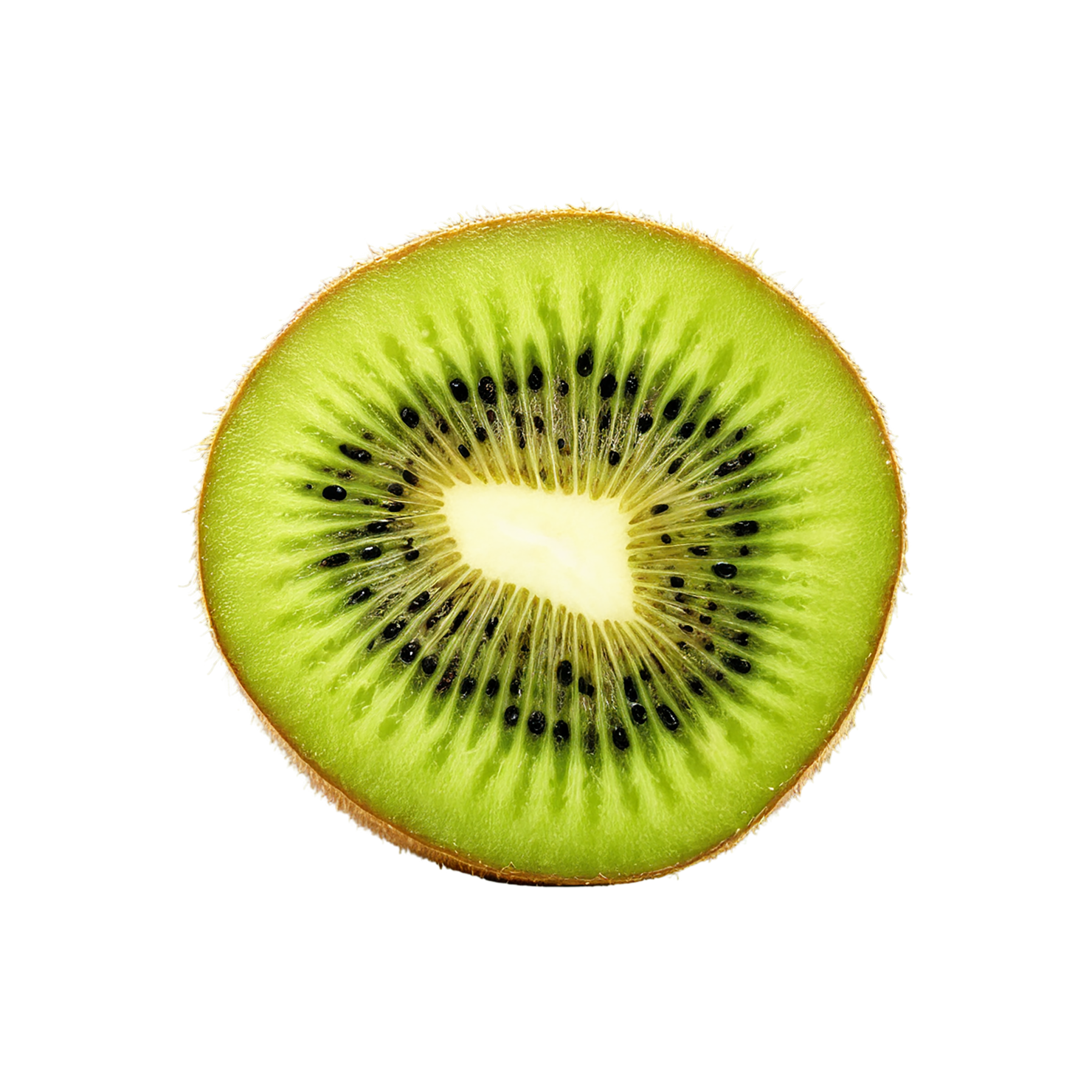 Kiwi fruit isolated on transparent background #851