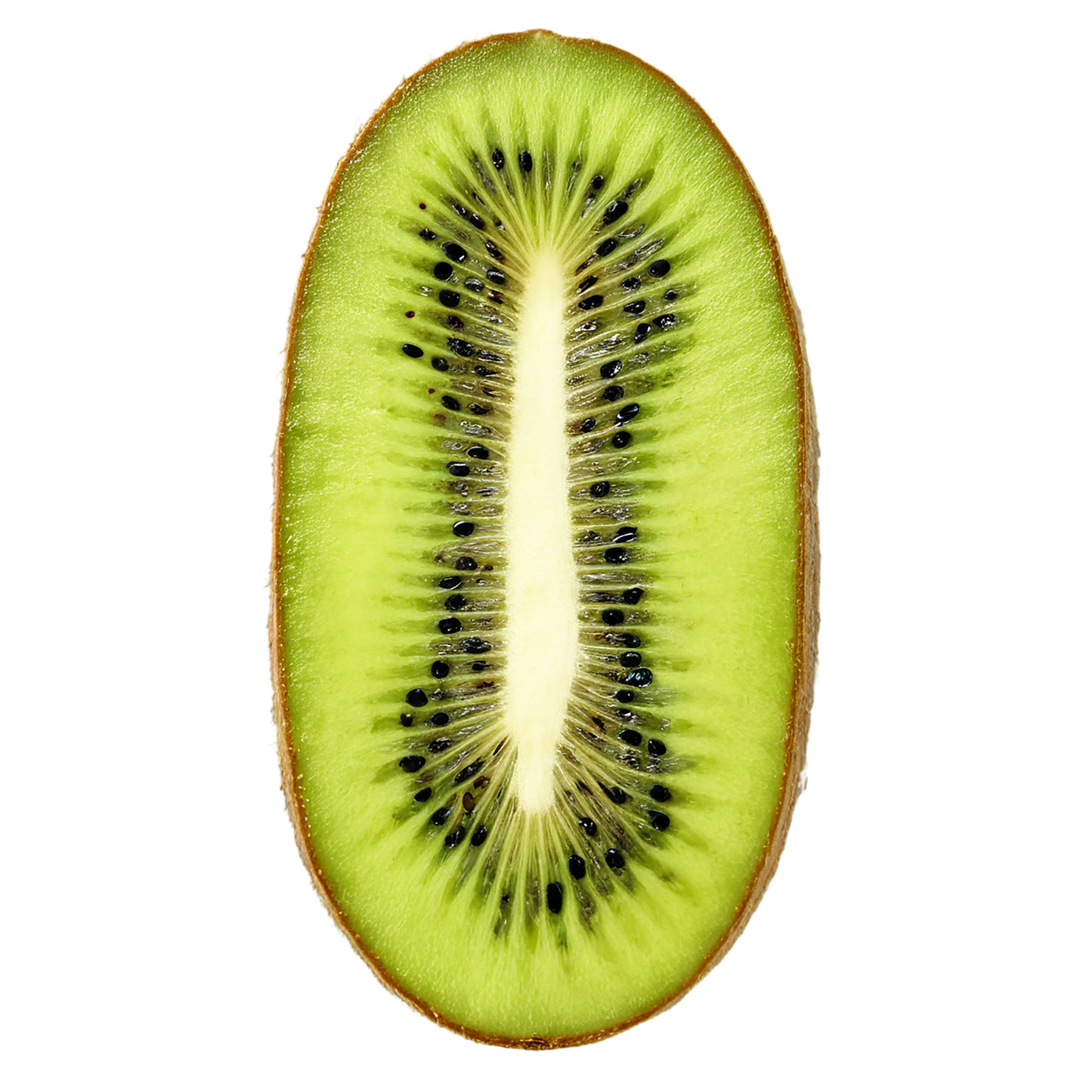 Kiwi fruit isolated on transparent background #856