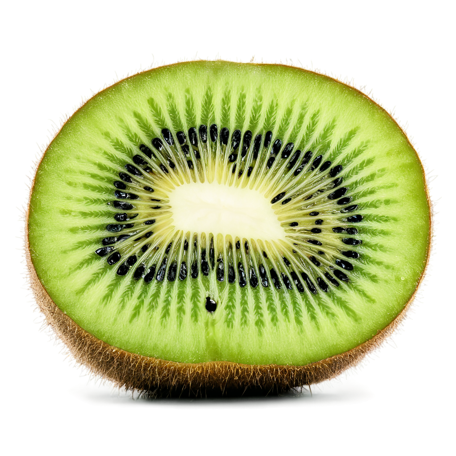 Kiwi fruit isolated on transparent background #859