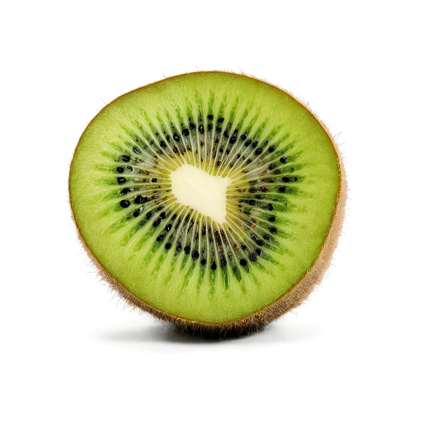 Kiwi fruit isolated on transparent background #861