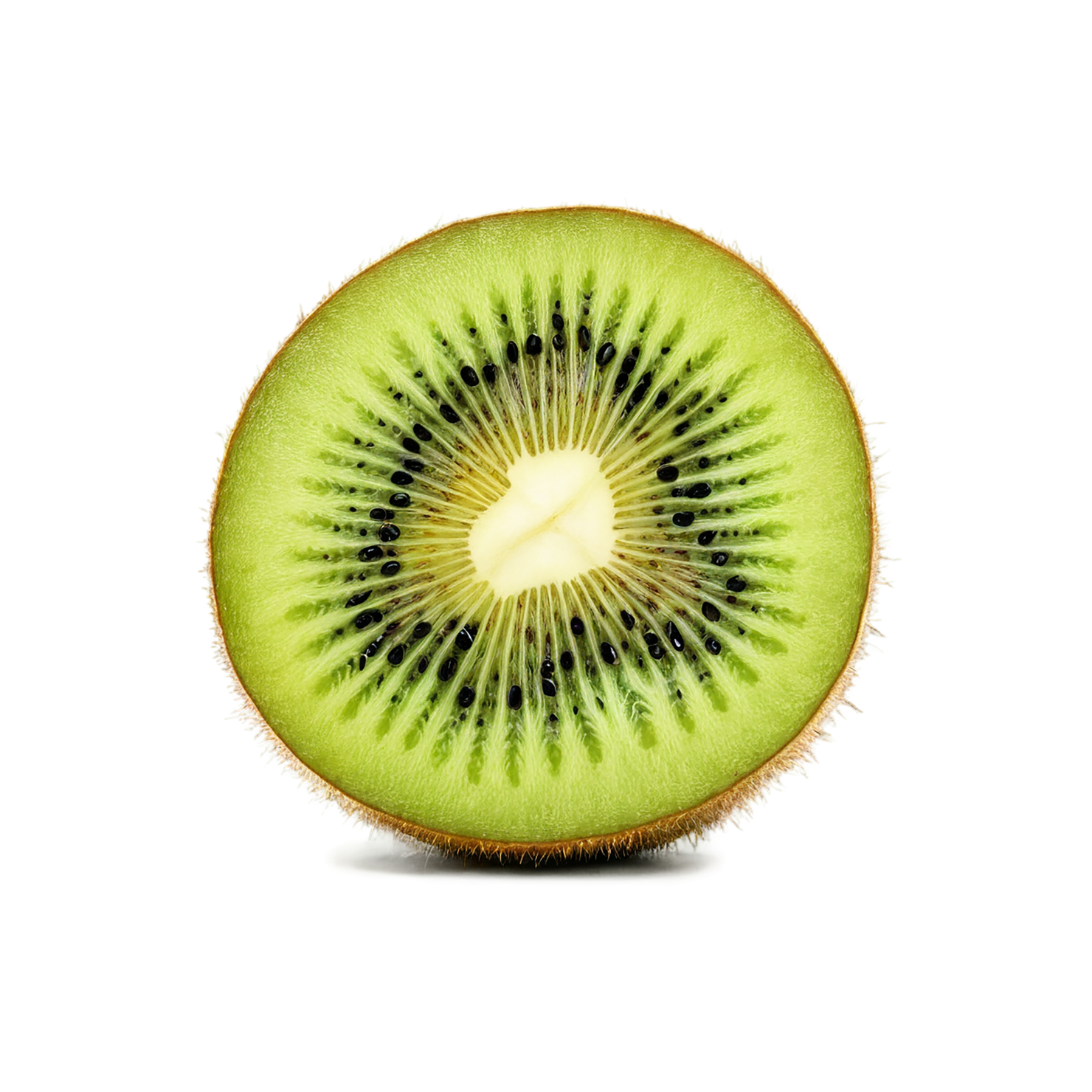 Kiwi fruit isolated on transparent background #866
