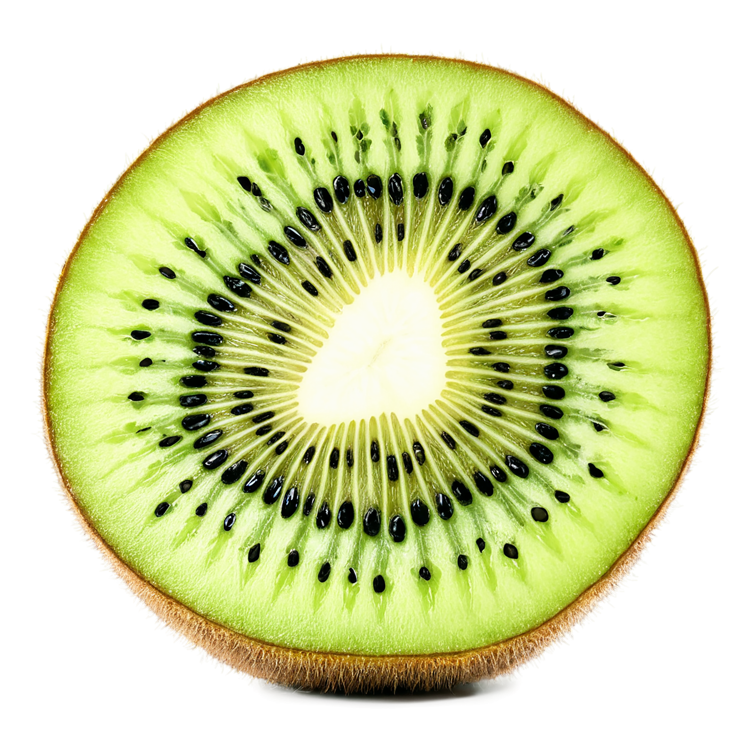 Kiwi fruit isolated on transparent background #870