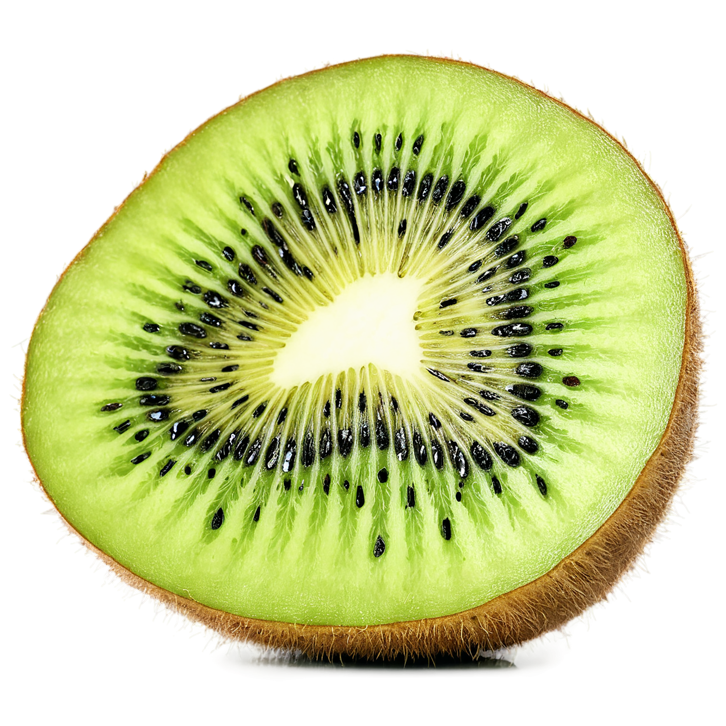 Kiwi fruit isolated on transparent background #872