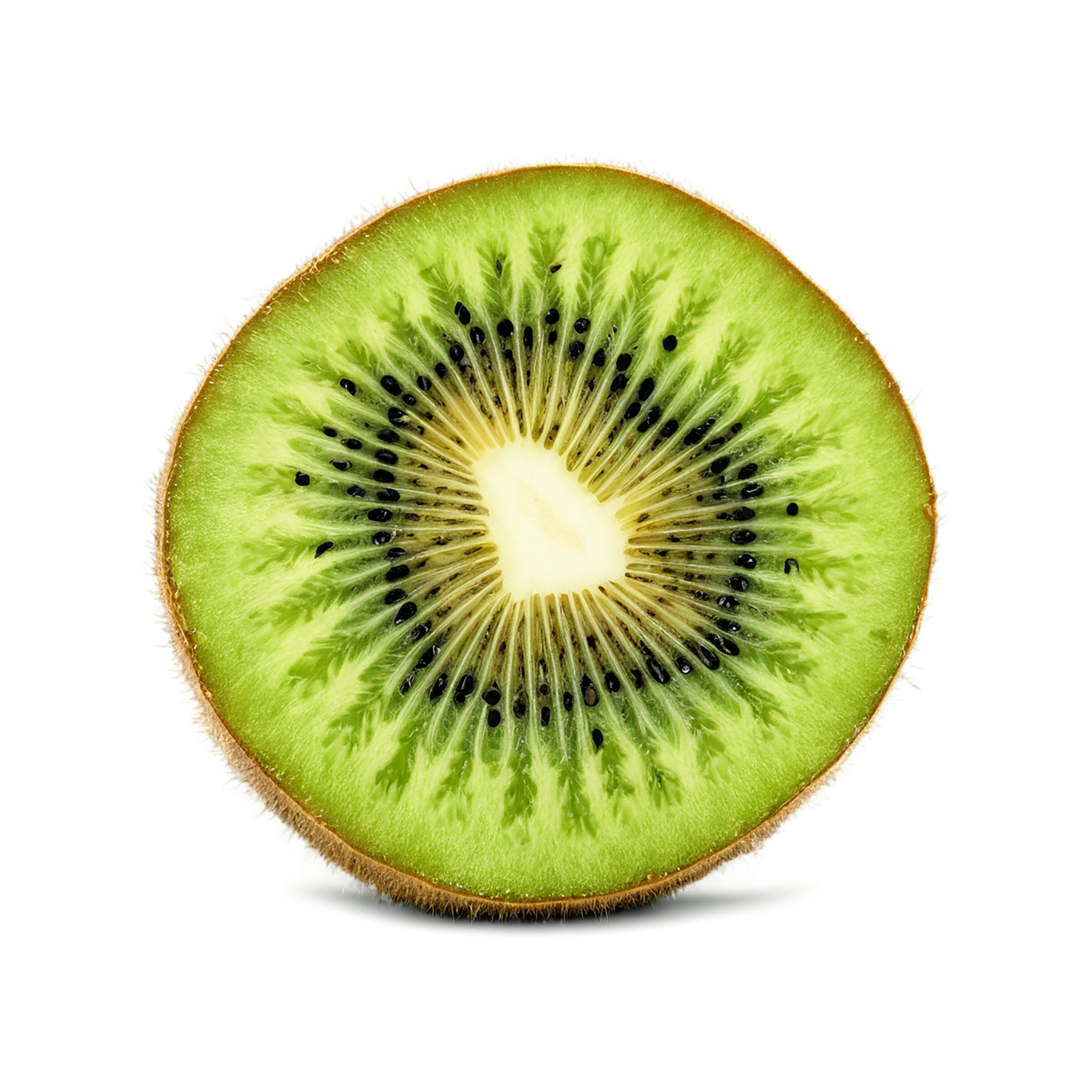 Kiwi fruit isolated on transparent background #877