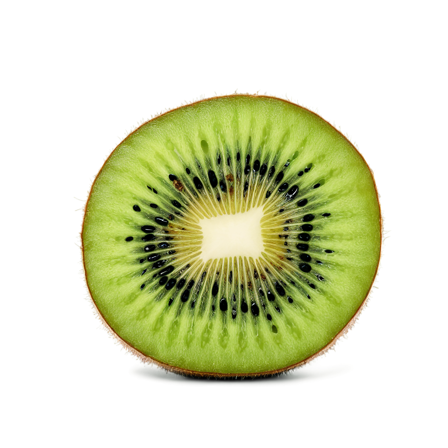 Kiwi fruit isolated on transparent background #884