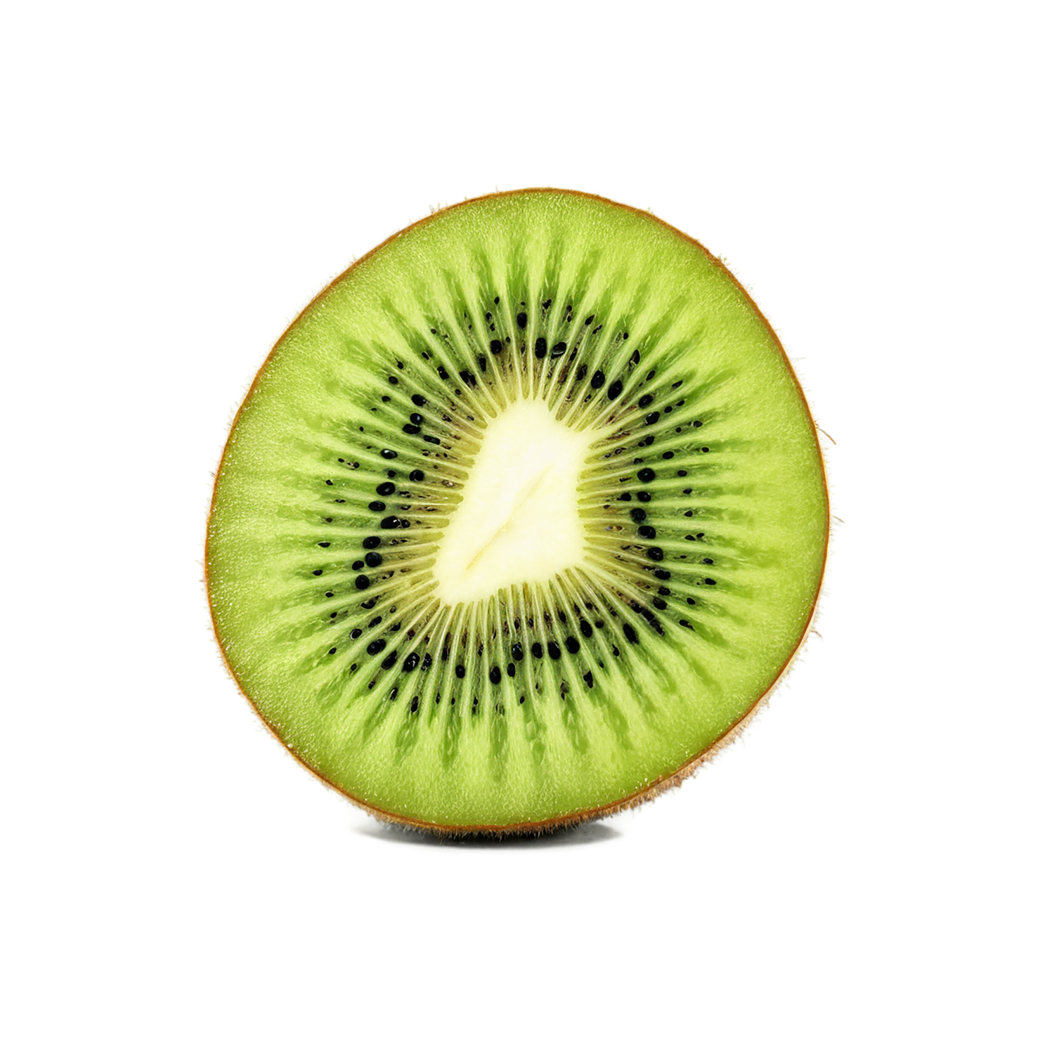 Kiwi fruit isolated on transparent background #885
