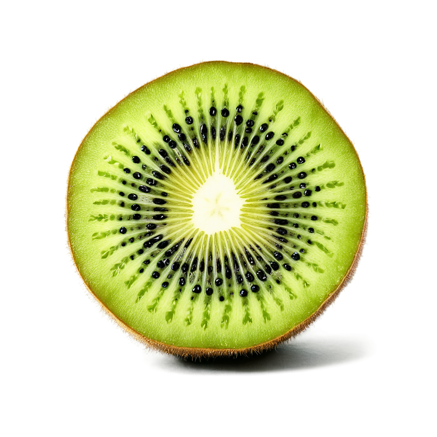 Kiwi fruit isolated on transparent background #886