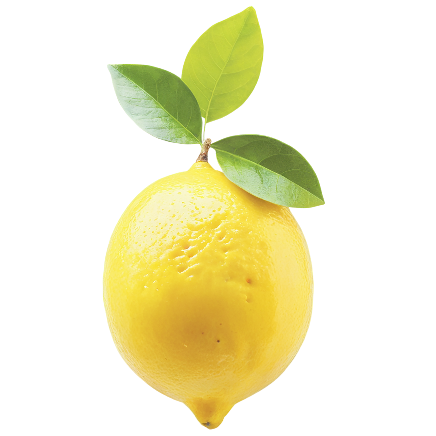 Lemon fruit isolated on transparent background #896